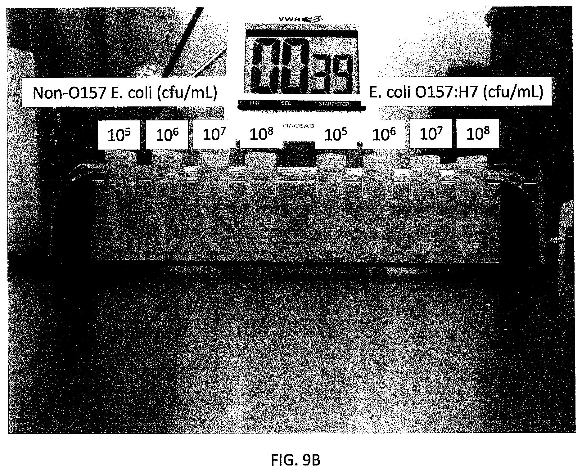 Patent US12480846 Figure 10 – Multi-mode separation for target detection and cell growth monitoring