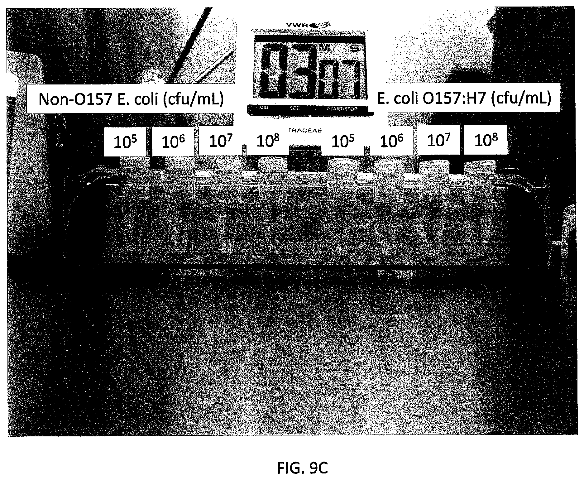 Patent US12480846 Figure 11 – Multi-mode separation for target detection and cell growth monitoring