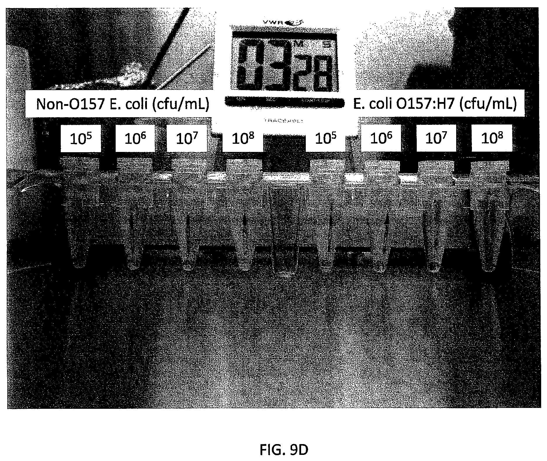 Patent US12480846 Figure 12 – Multi-mode separation for target detection and cell growth monitoring