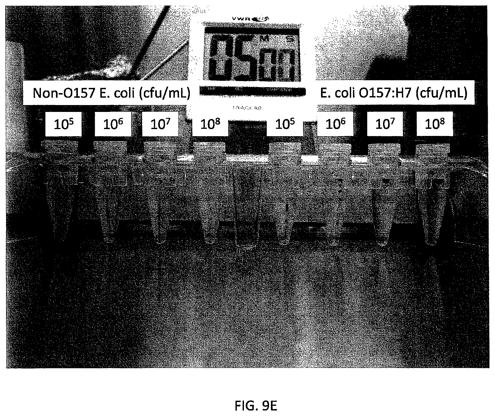 Patent US12480846 Figure 13 – Multi-mode separation for target detection and cell growth monitoring