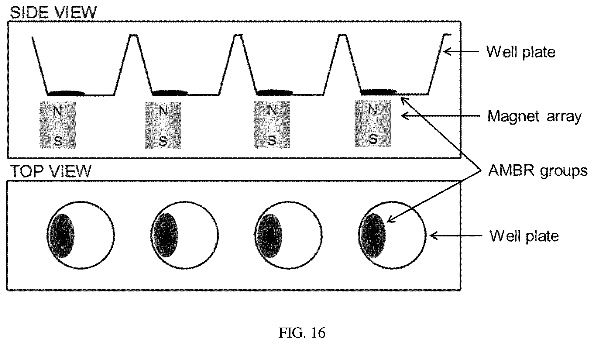 Patent US12480846 Figure 20 – Multi-mode separation for target detection and cell growth monitoring