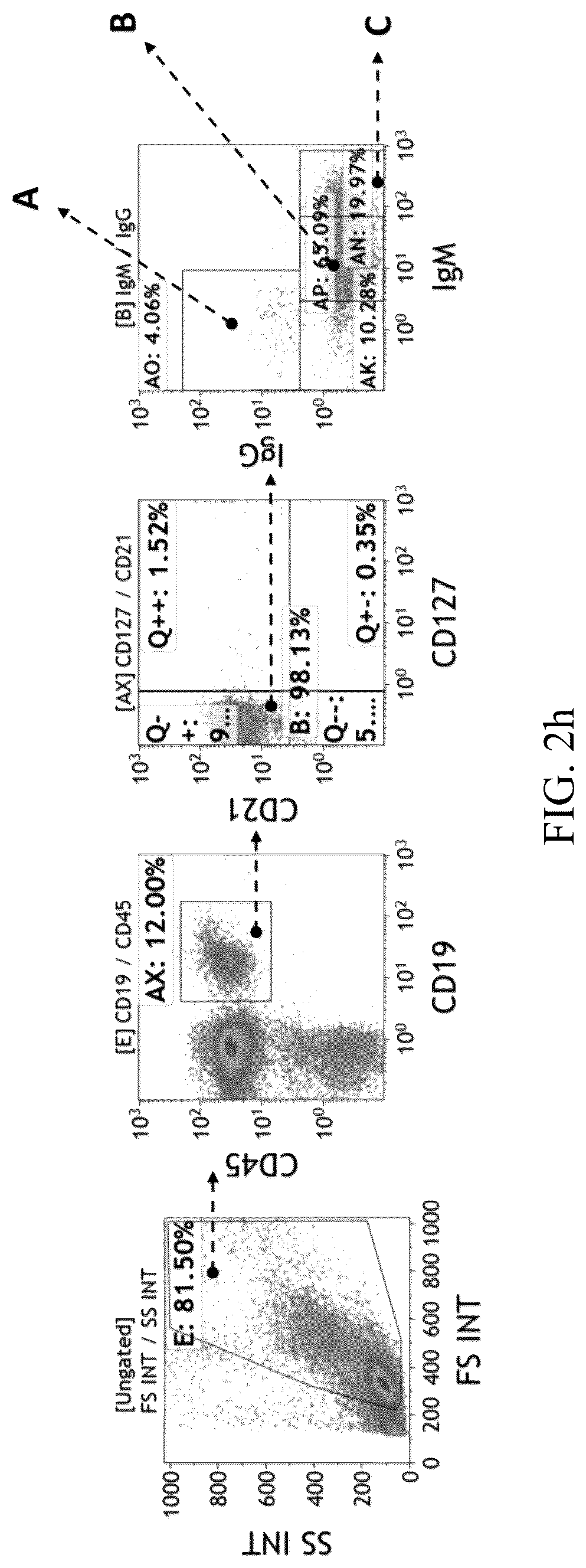 Patent US12480847 Figure 14 – Staining kit and method of immuneprofiling to identify characterized immune cell subsets of disease and predicting disease using the same