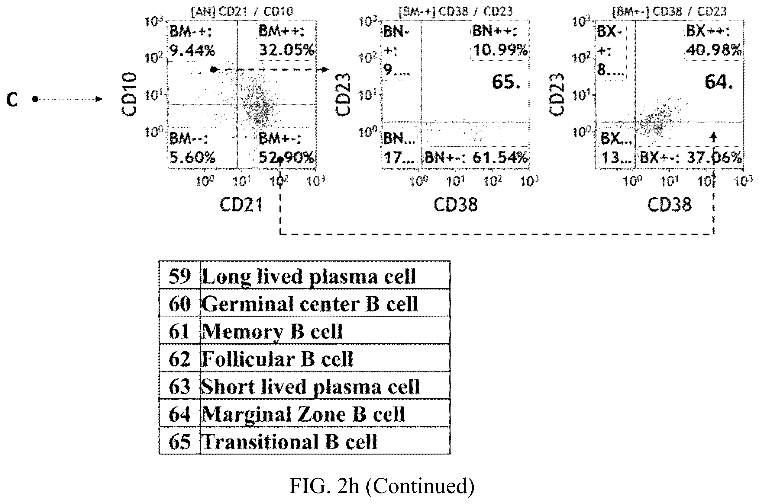 Patent US12480847 Figure 16 – Staining kit and method of immuneprofiling to identify characterized immune cell subsets of disease and predicting disease using the same