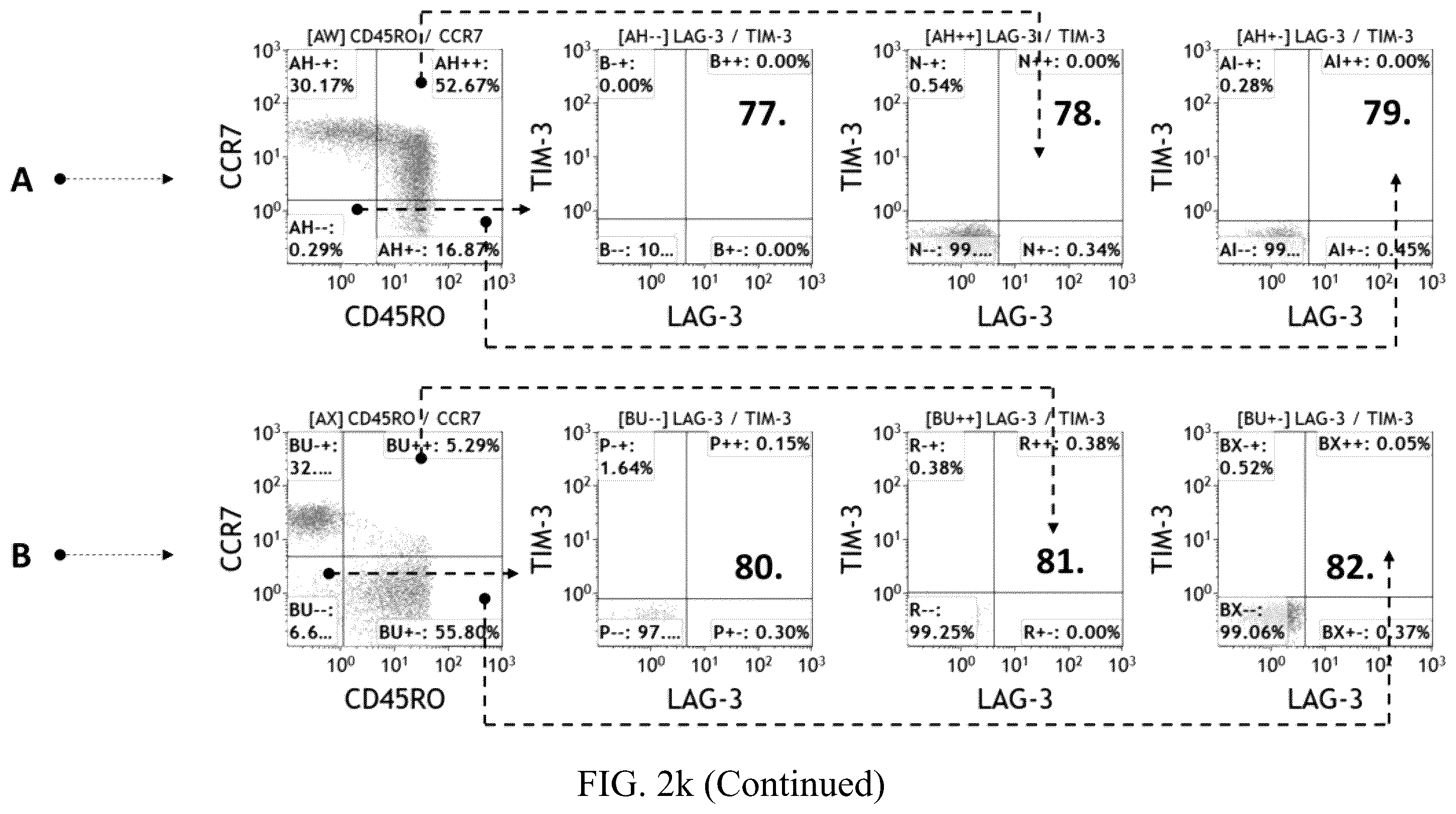Patent US12480847 Figure 20 – Staining kit and method of immuneprofiling to identify characterized immune cell subsets of disease and predicting disease using the same