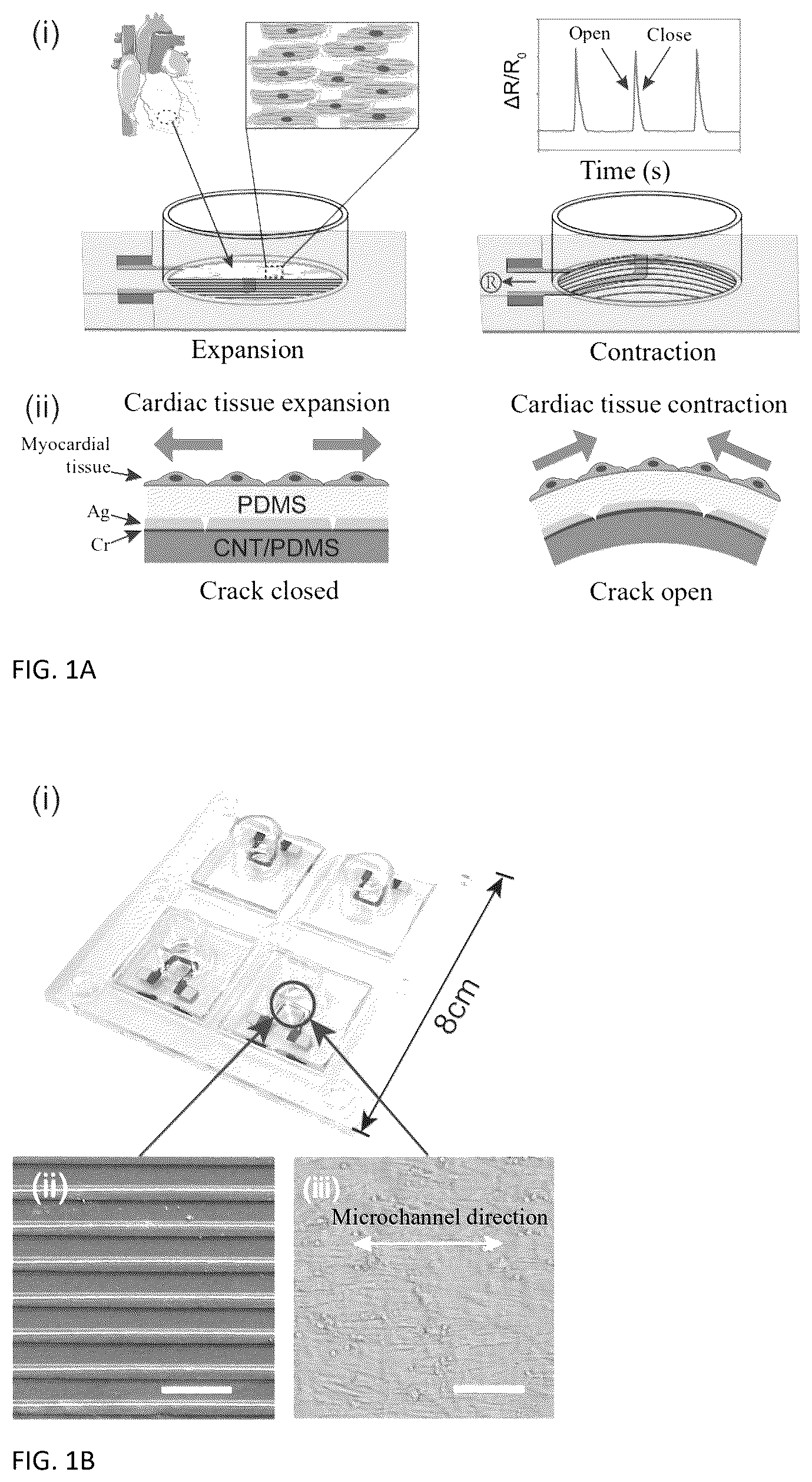 Patent US12480848 Figure 1 – Crack sensor, preparation method therefor, and application thereof in micro-force measurement