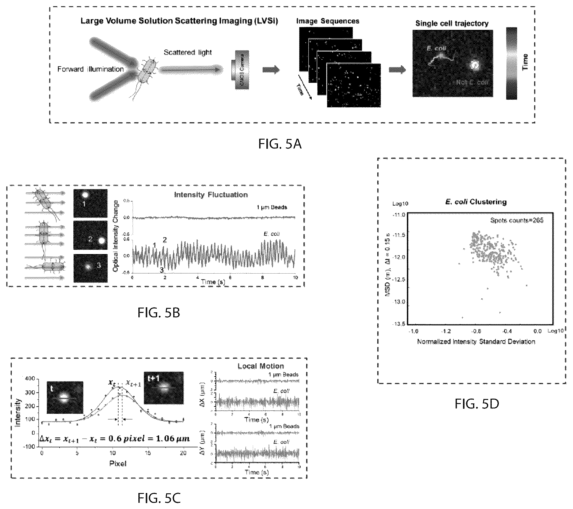 Patent US12480857 Figure 5 – Methods and related aspects of rapid microbial detection using intrinsic feature tracking