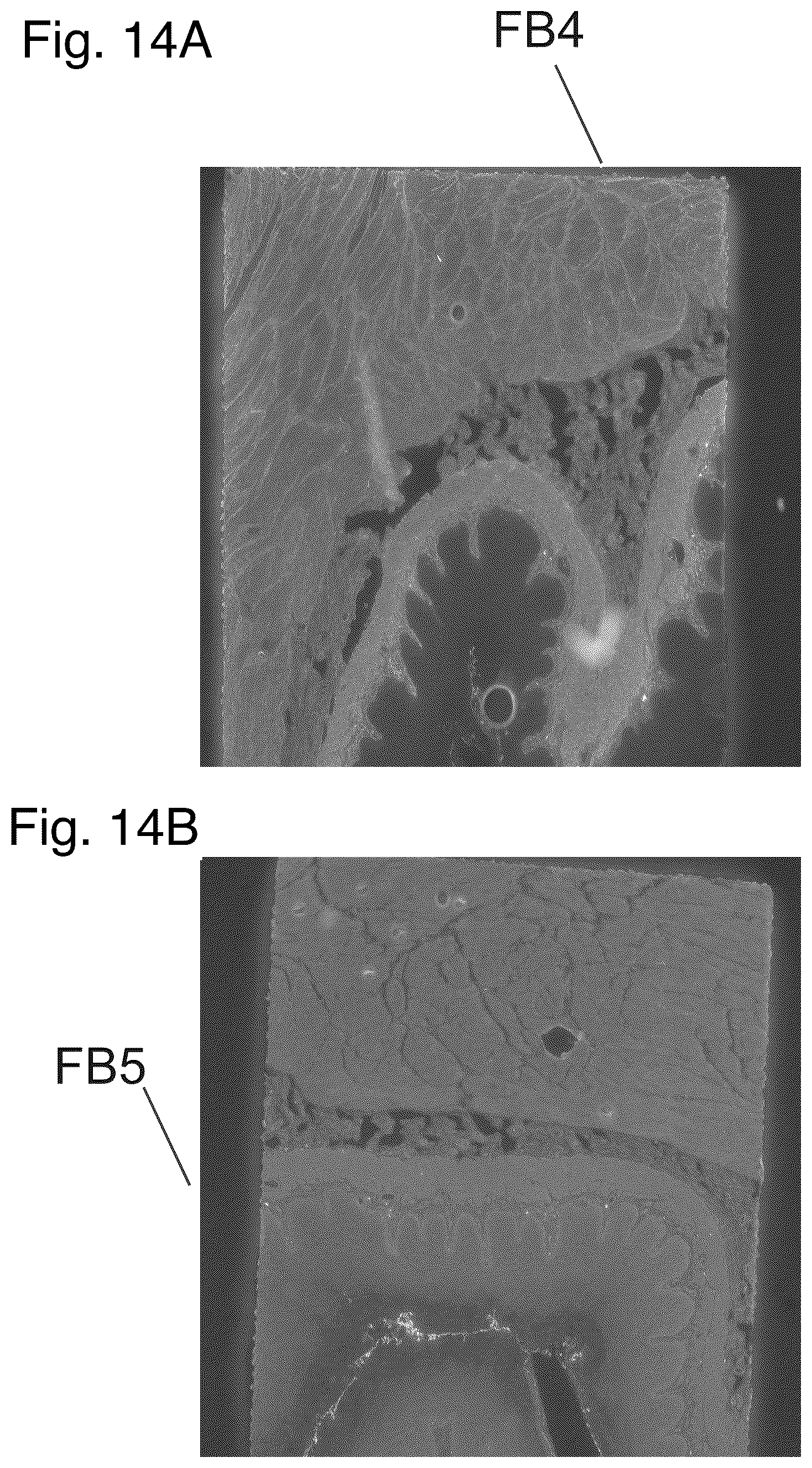 Patent US12480877 Figure 13 – Method and apparatus for detecting a presence of a fluorescence pattern type on an organ section by means of immunofluorescence microscopy