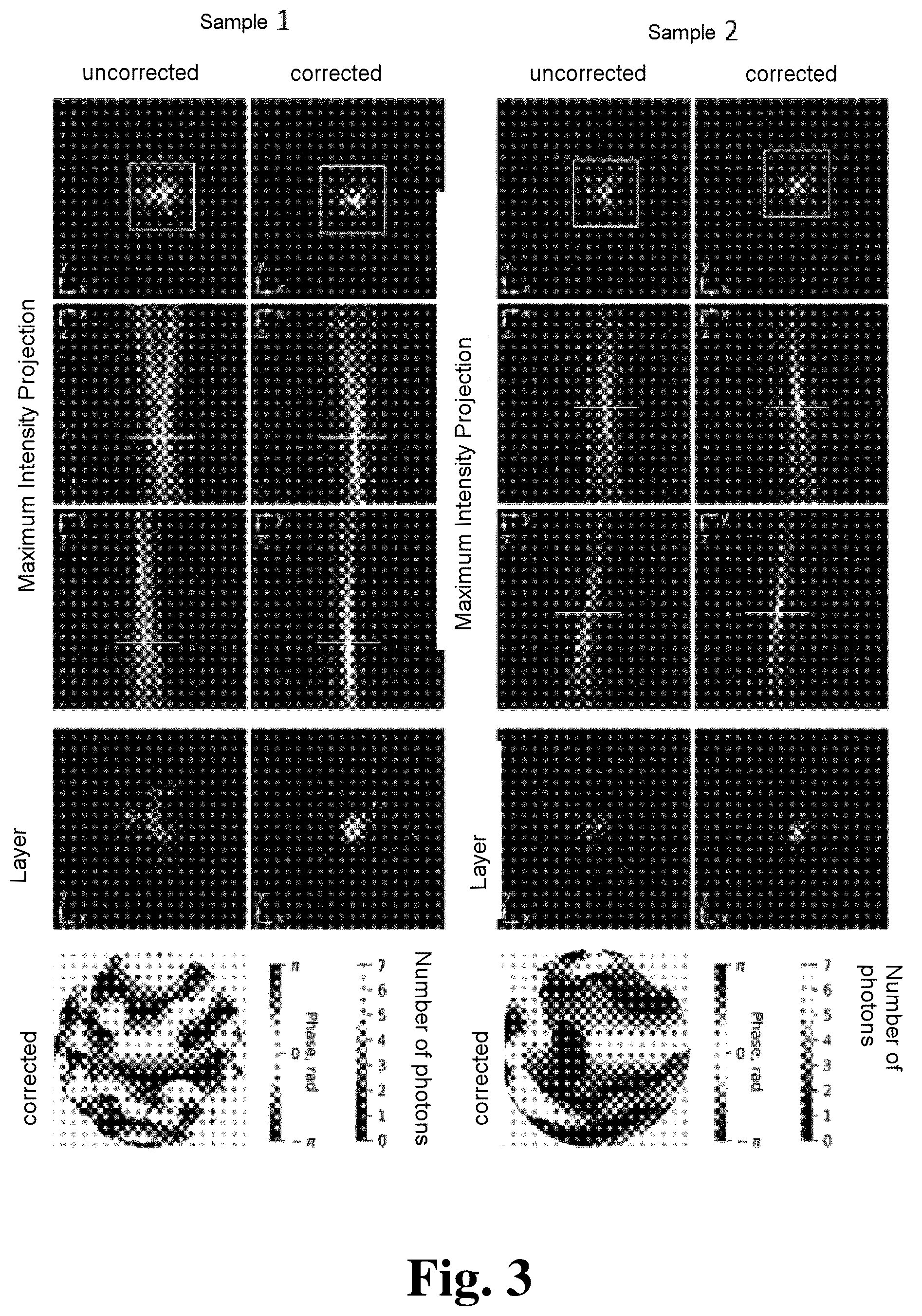 Patent US12480878 Figure 3 – Method and illumination apparatus of adaptive optics in reflection microscopy