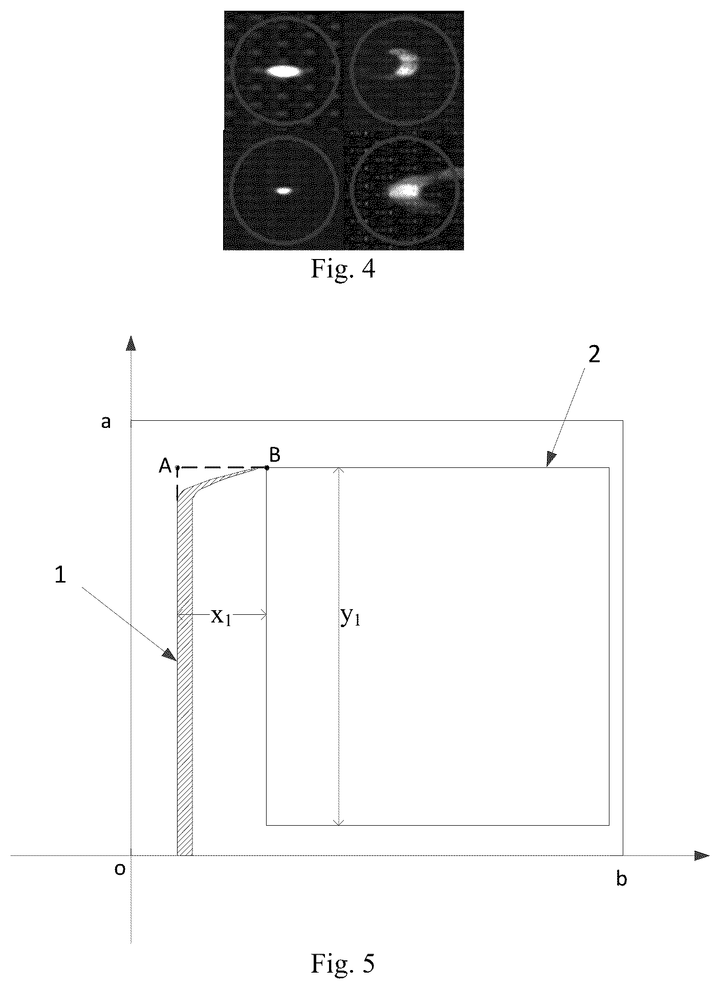 Patent US12480886 Figure 2 – Curved substrate bubble detection method and detection system
