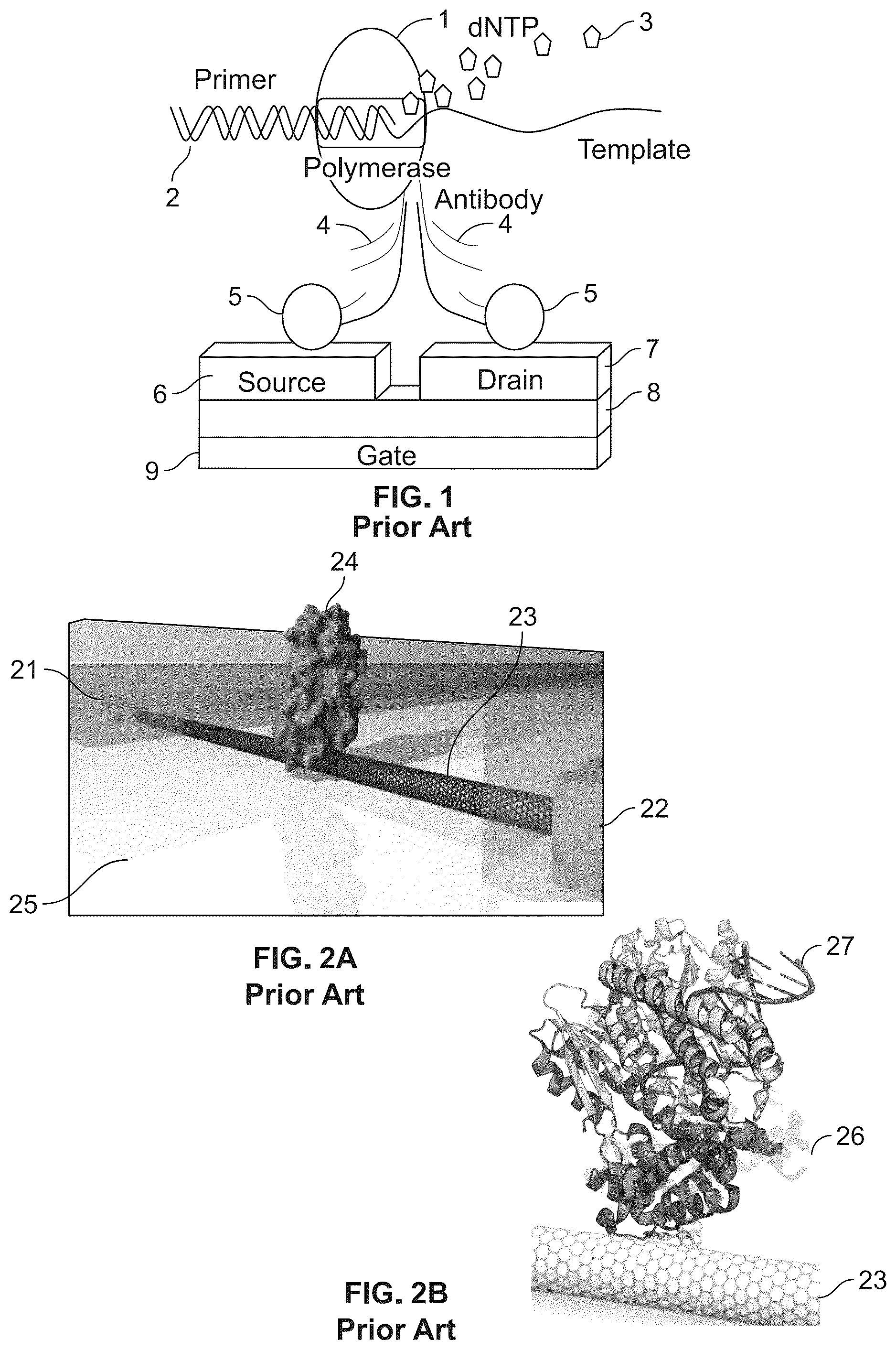 Patent US12480937 Figure 1 – Device, system and method for direct electrical measurement of enzyme activity