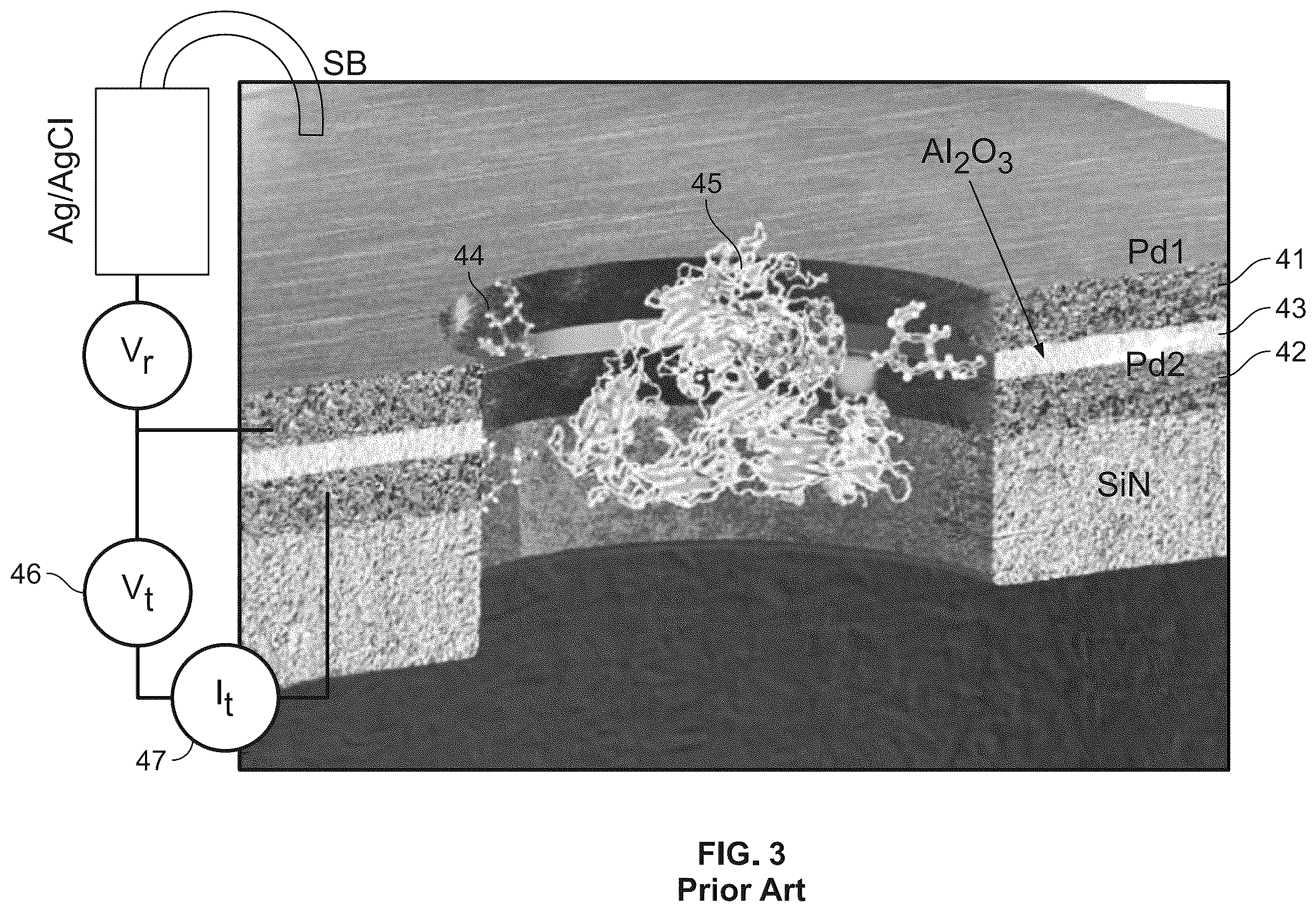 Patent US12480937 Figure 3 – Device, system and method for direct electrical measurement of enzyme activity