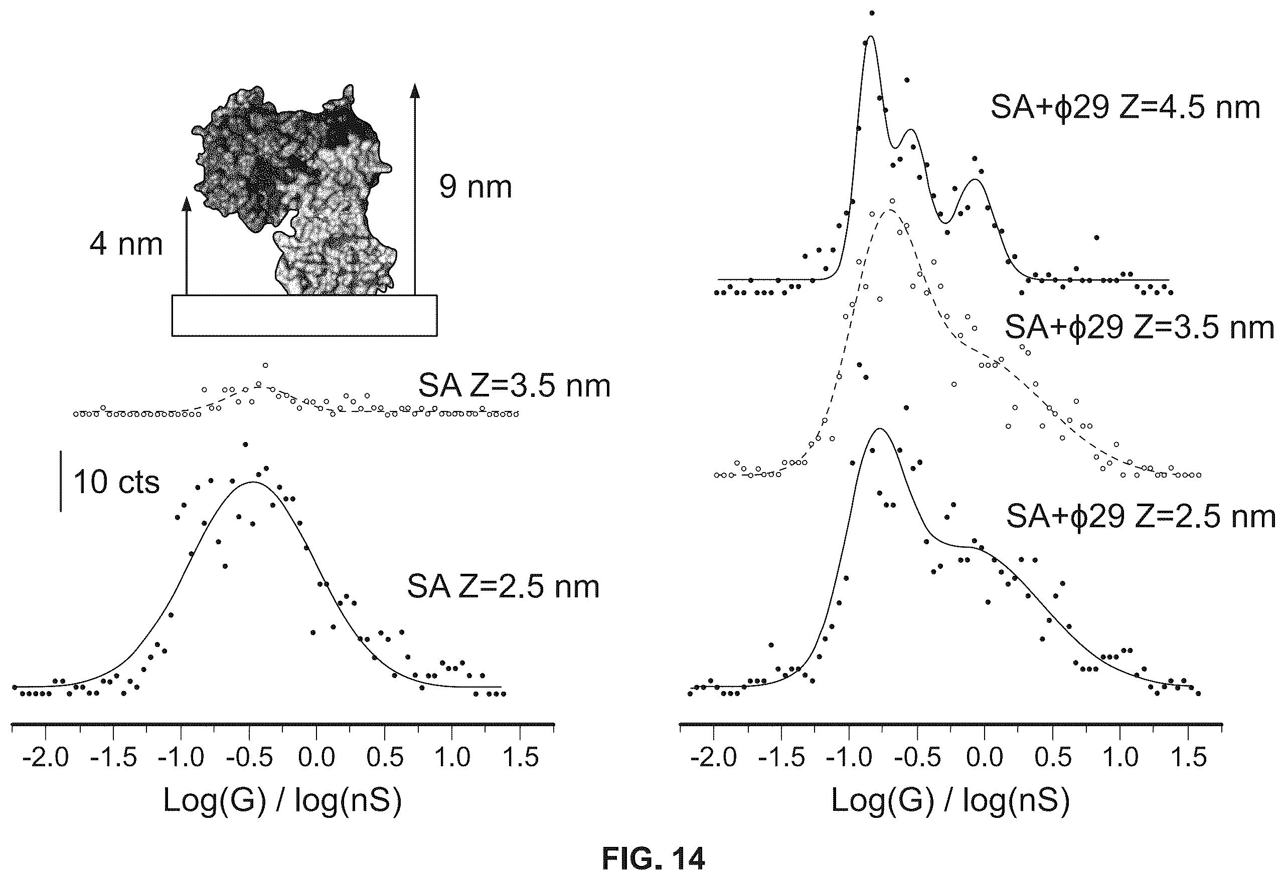 Patent US12480937 Figure 14 – Device, system and method for direct electrical measurement of enzyme activity