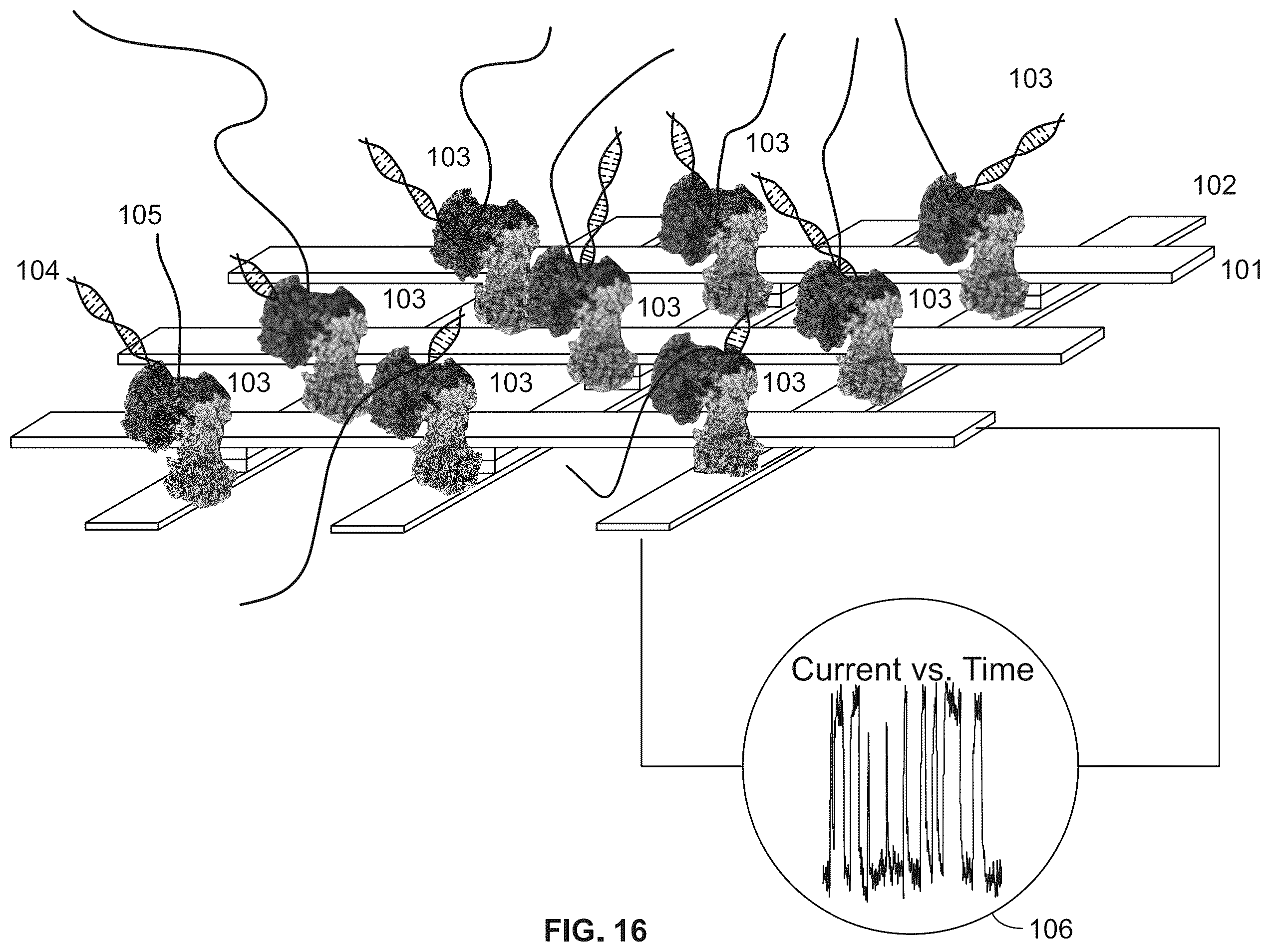 Patent US12480937 Figure 16 – Device, system and method for direct electrical measurement of enzyme activity