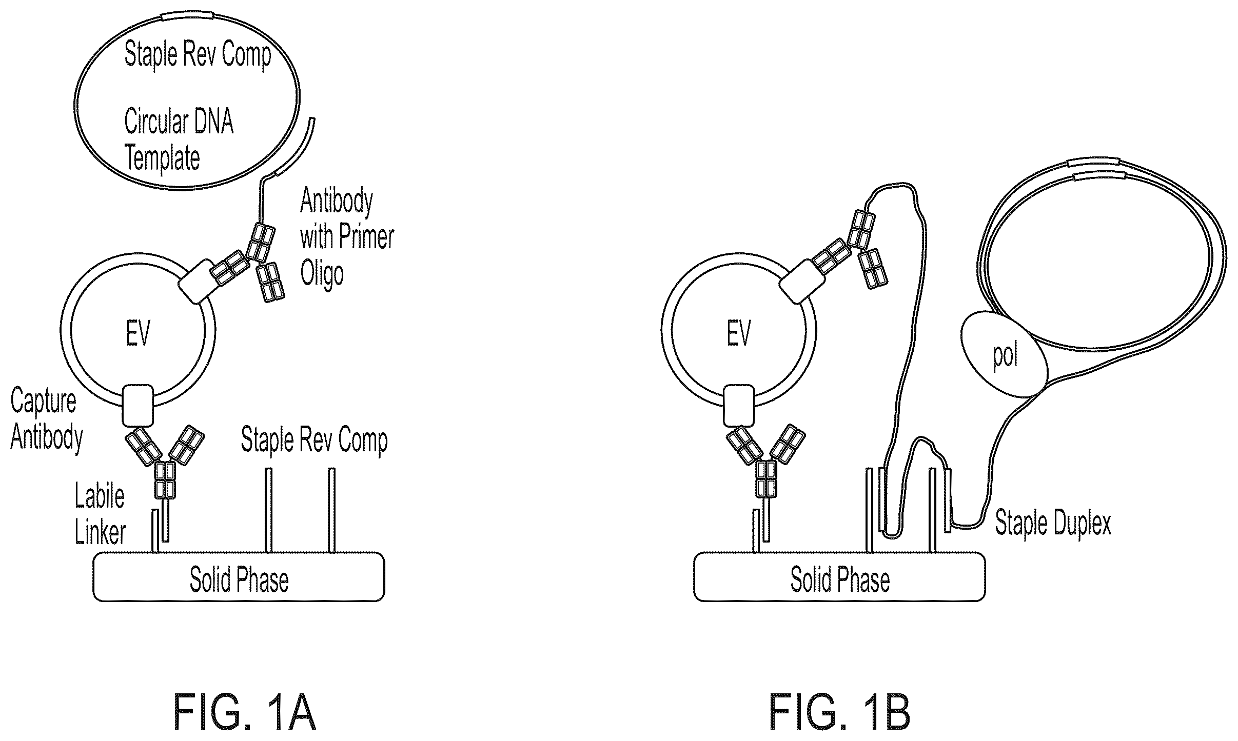 Patent US12480940 — Methods for isolating surface marker displaying agents — Figure 1