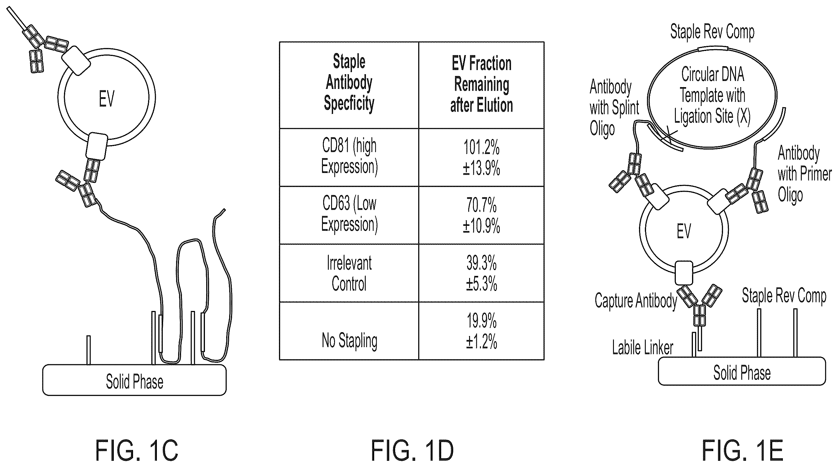 Patent US12480940 Figure 2 – Methods for isolating surface marker displaying agents