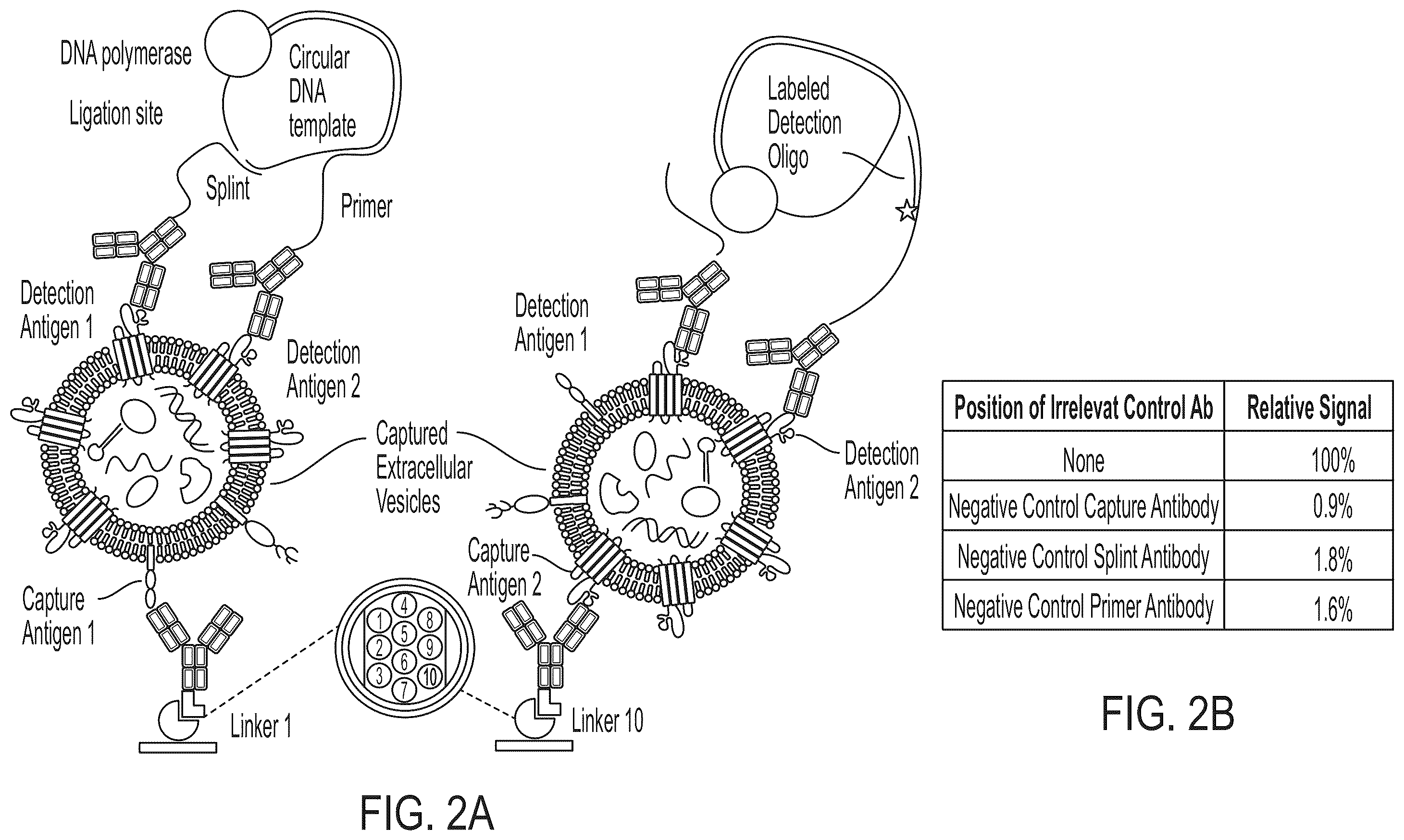 Patent US12480940 Figure 3 – Methods for isolating surface marker displaying agents