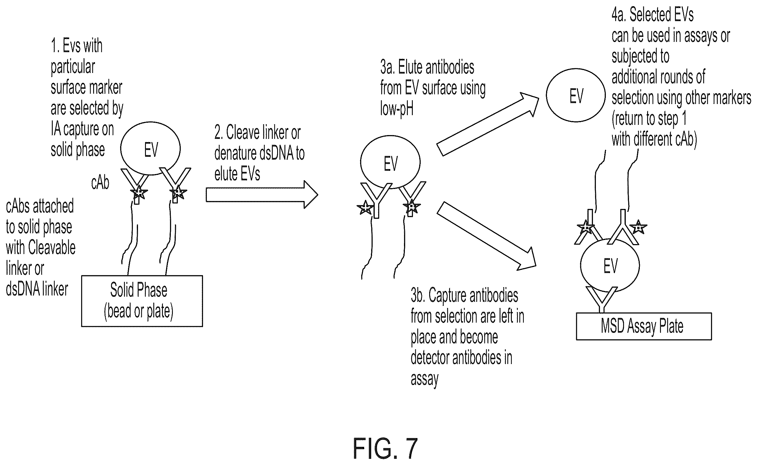 Patent US12480940 Figure 9 – Methods for isolating surface marker displaying agents