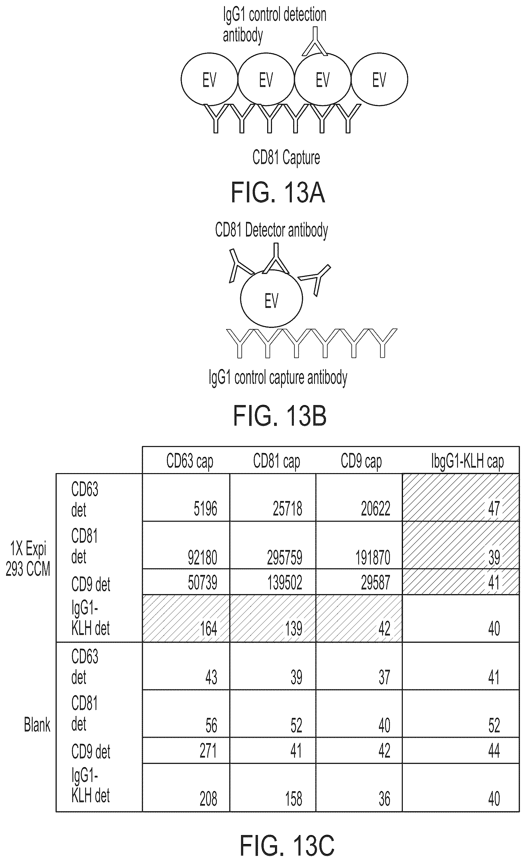 Patent US12480940 Figure 15 – Methods for isolating surface marker displaying agents
