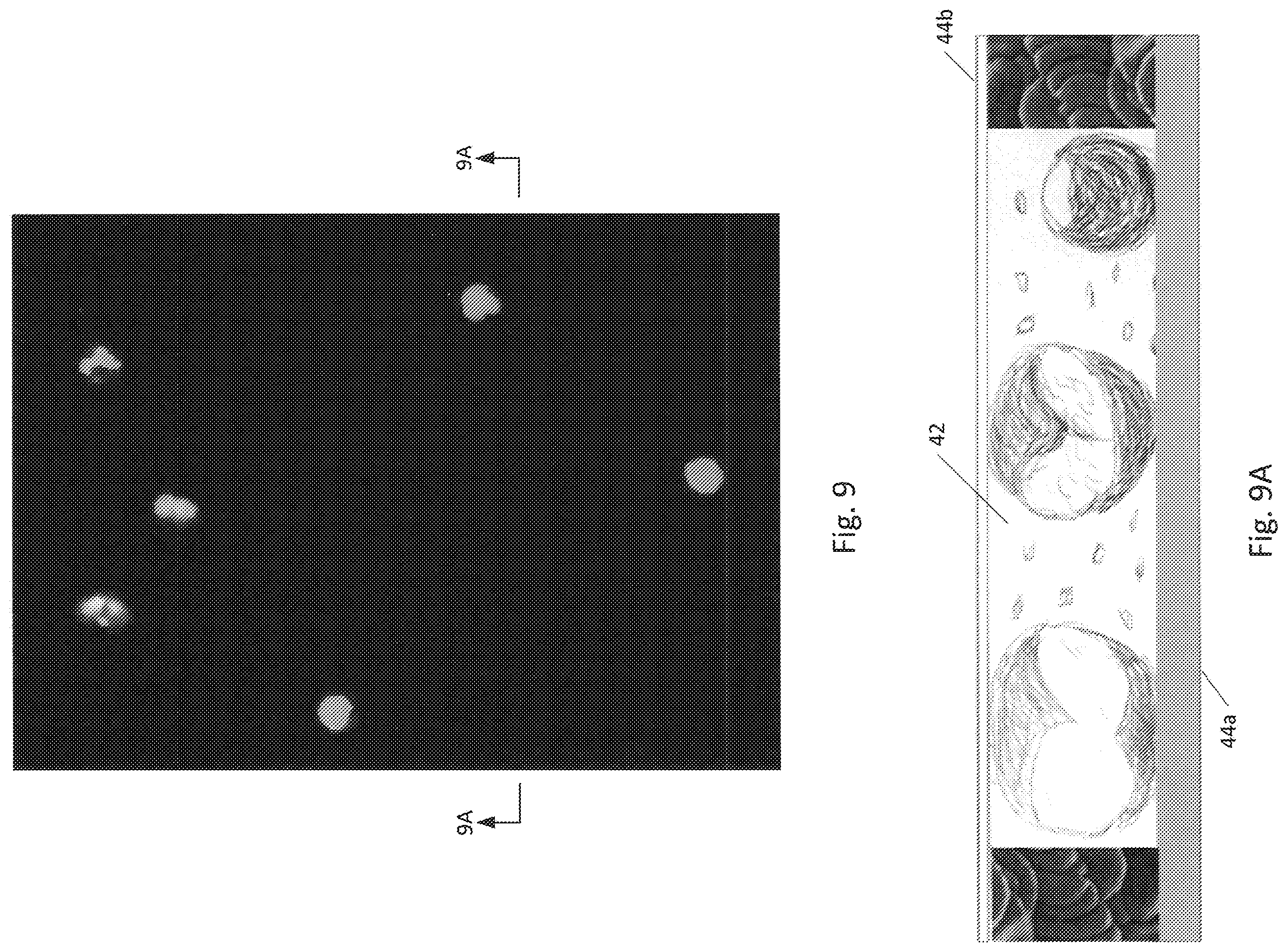 Patent US12480941 Figure 8 – Rapid mobile screening and triage for infections and infection severity