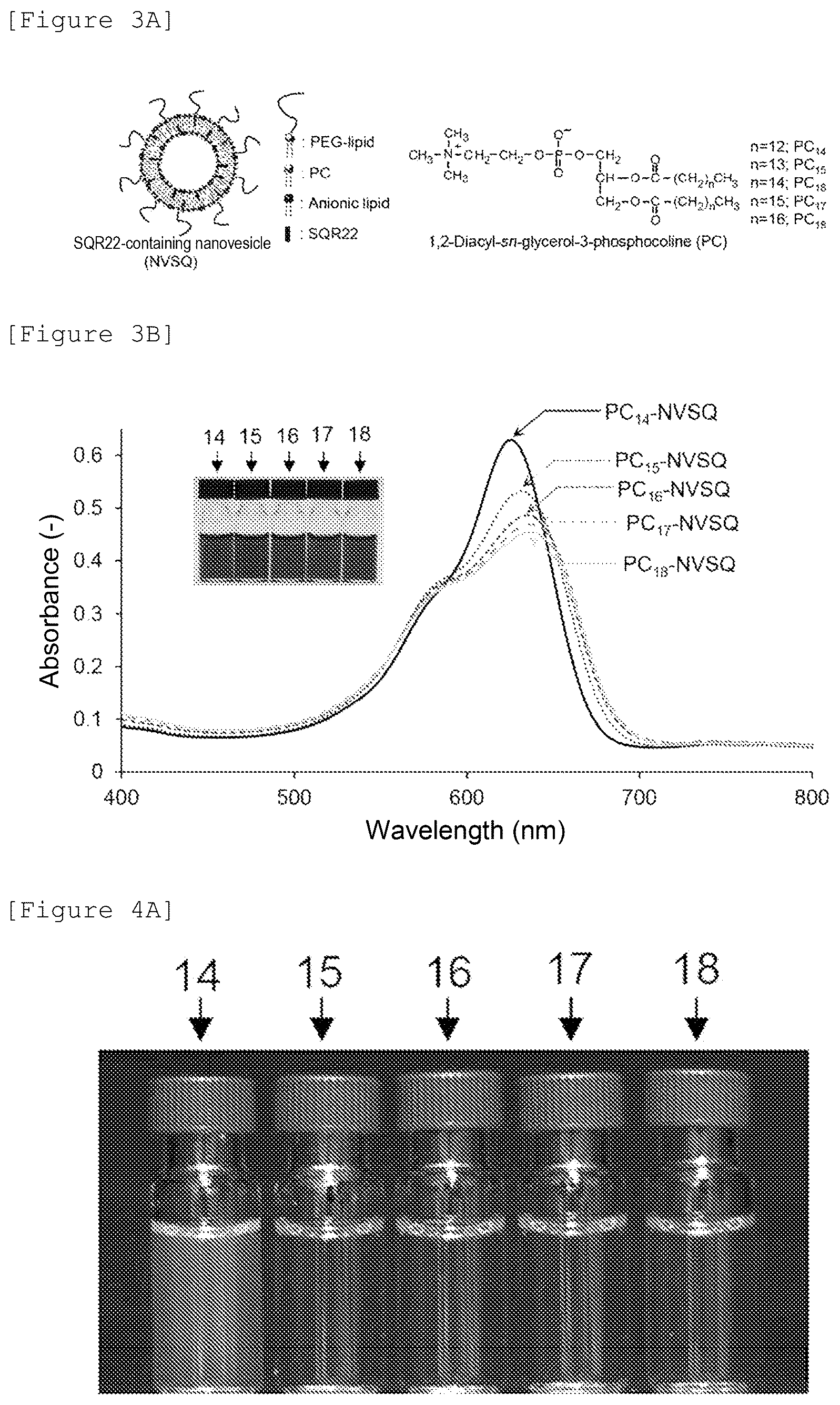 Patent US12480943 Figure 4 – Temperature-responsive fluorescent particles for detection of biomolecules