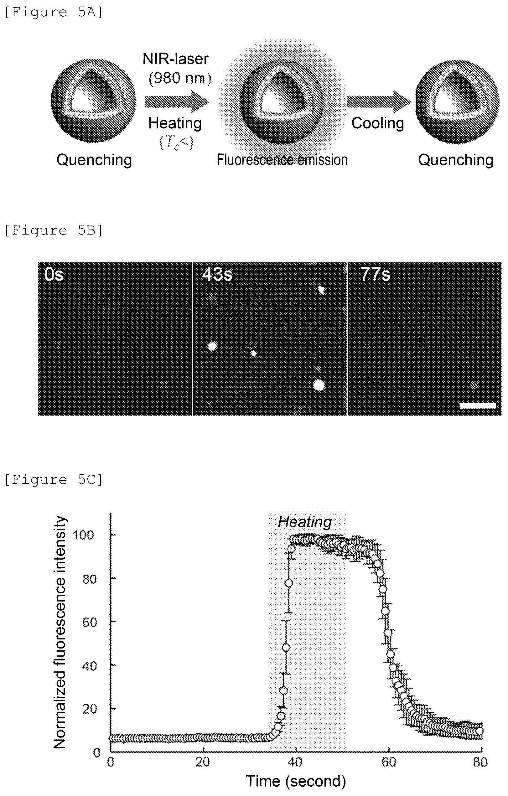 Patent US12480943 Figure 6 – Temperature-responsive fluorescent particles for detection of biomolecules