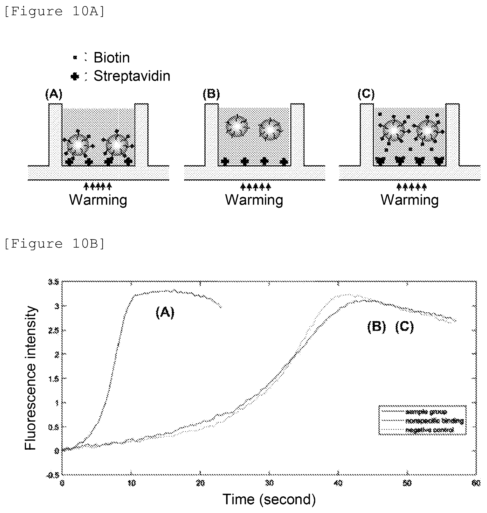 Patent US12480943 Figure 14 – Temperature-responsive fluorescent particles for detection of biomolecules