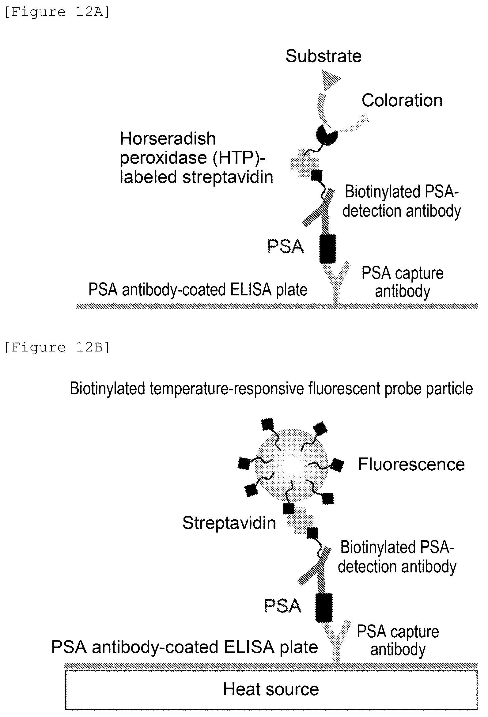 Patent US12480943 Figure 16 – Temperature-responsive fluorescent particles for detection of biomolecules