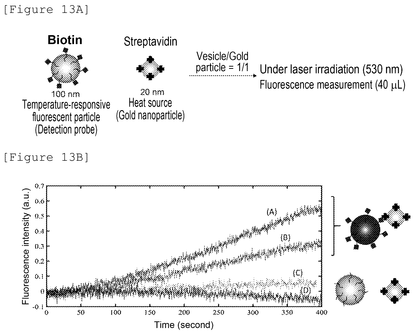 Patent US12480943 Figure 18 – Temperature-responsive fluorescent particles for detection of biomolecules