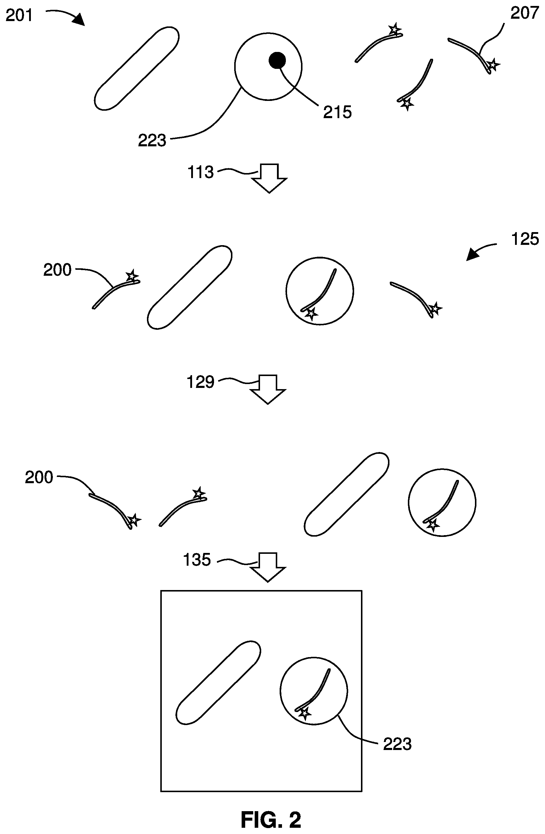 Patent US12480944 Figure 2 – Detection and analysis of cells