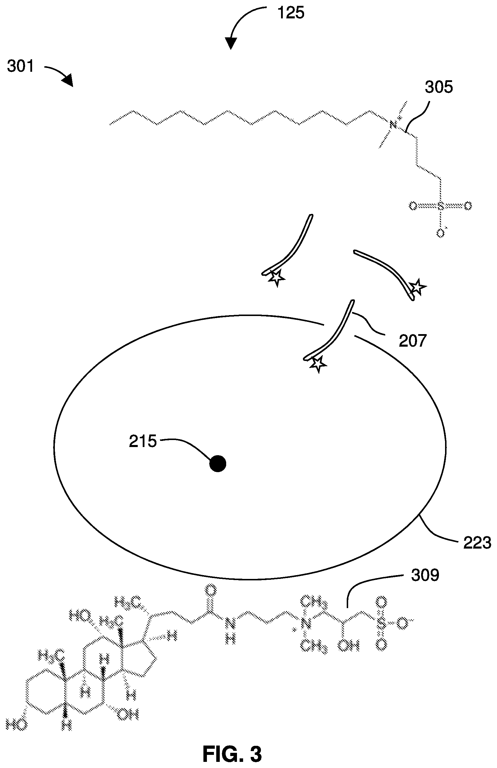 Patent US12480944 Figure 3 – Detection and analysis of cells