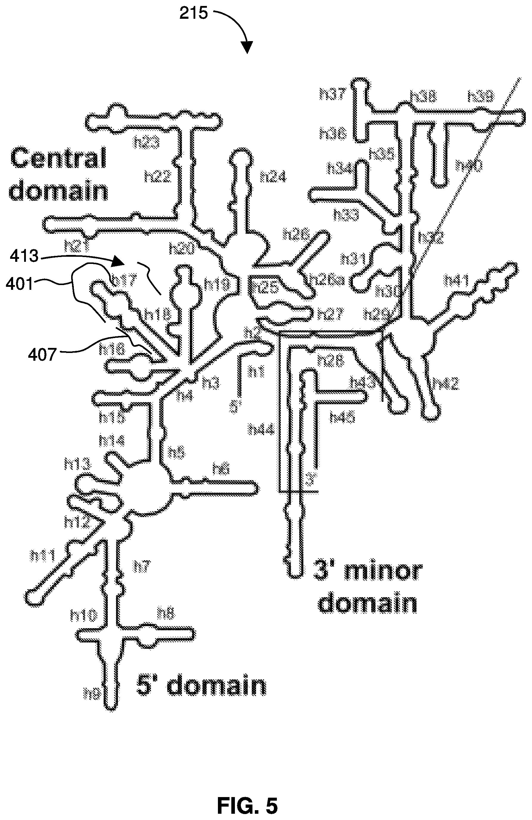 Patent US12480944 Figure 5 – Detection and analysis of cells