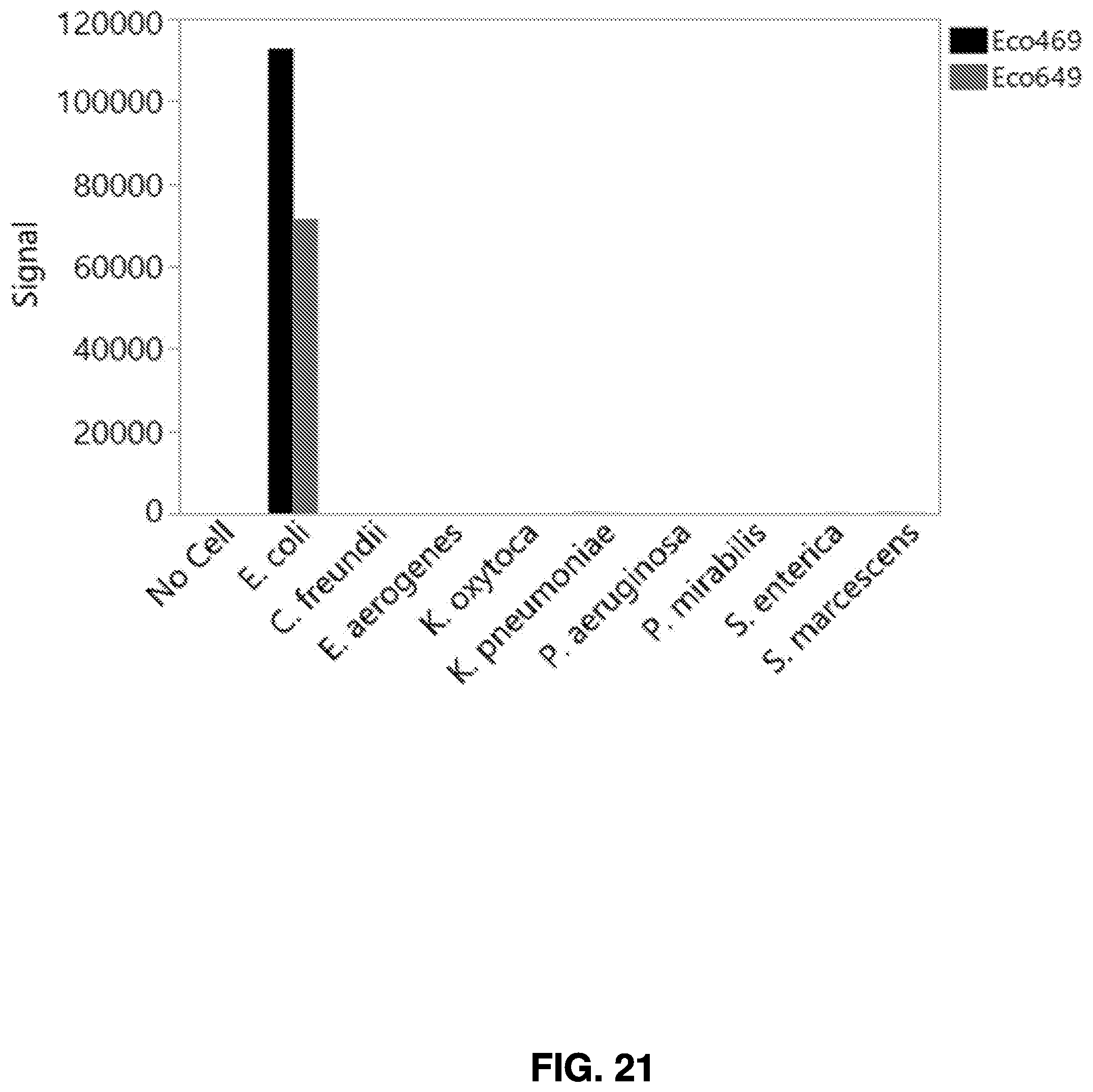 Patent US12480944 Figure 19 – Detection and analysis of cells
