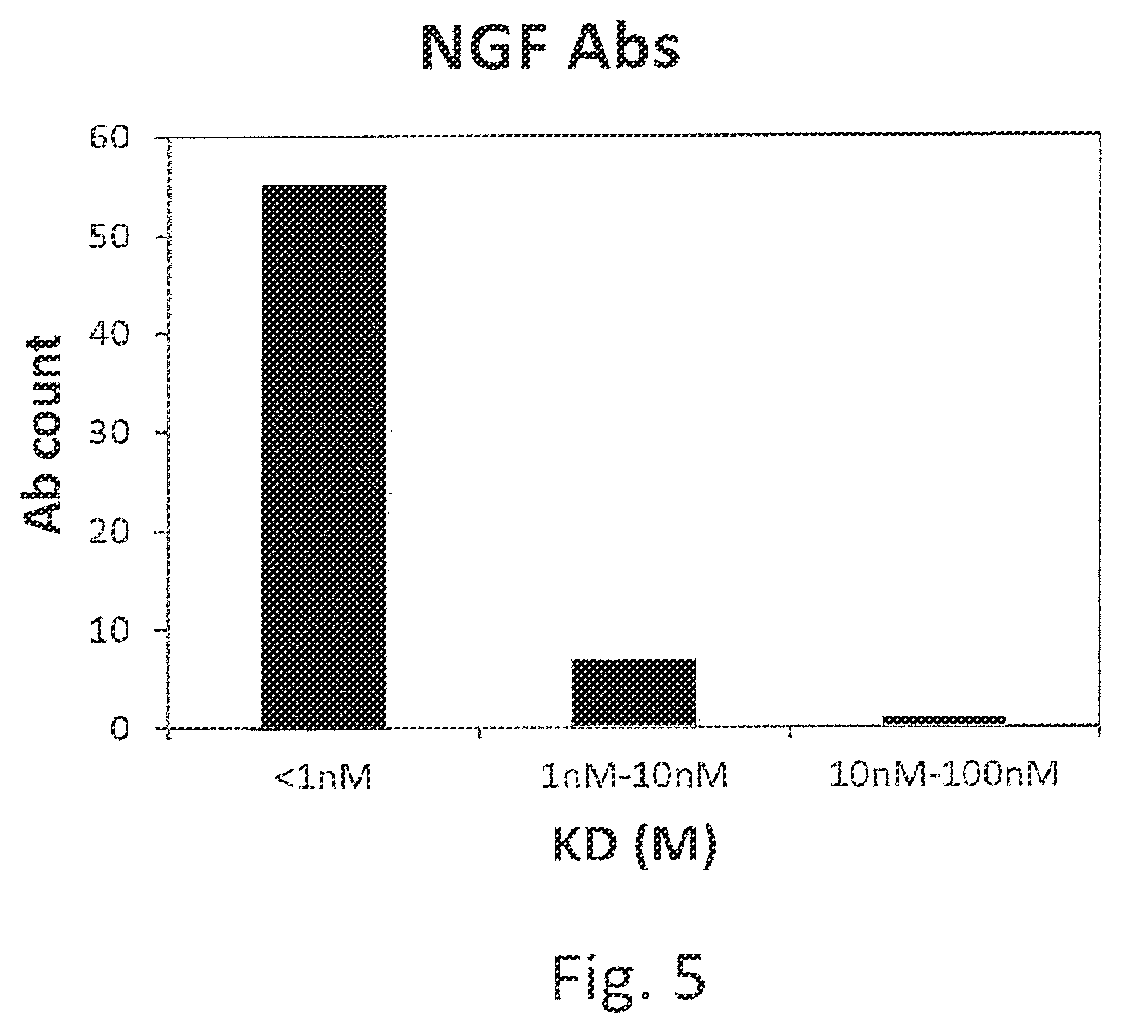 Patent US12480947 Figure 5 – Method for generating high affinity antibodies
