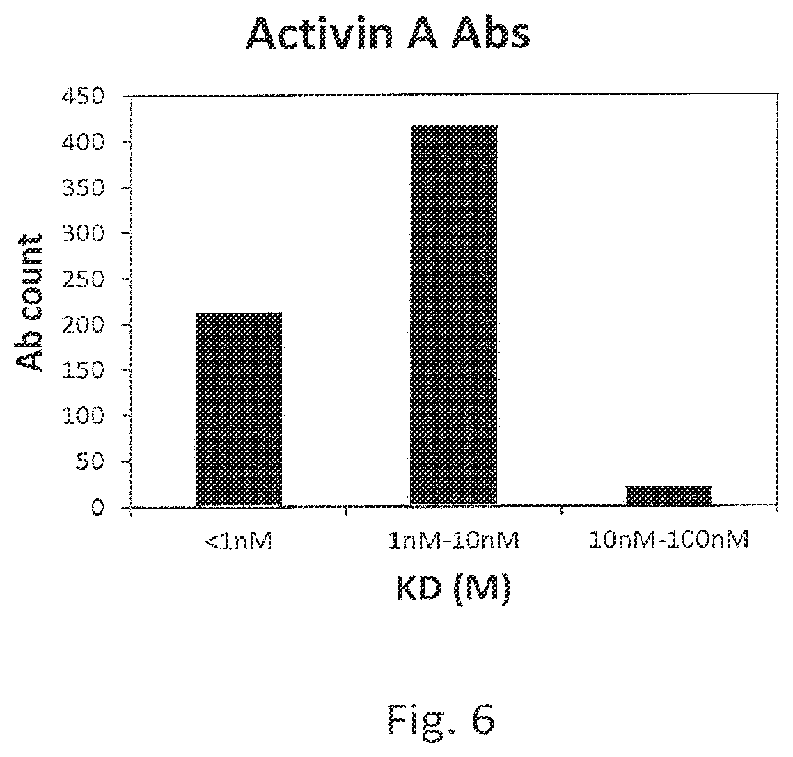 Patent US12480947 Figure 6 – Method for generating high affinity antibodies