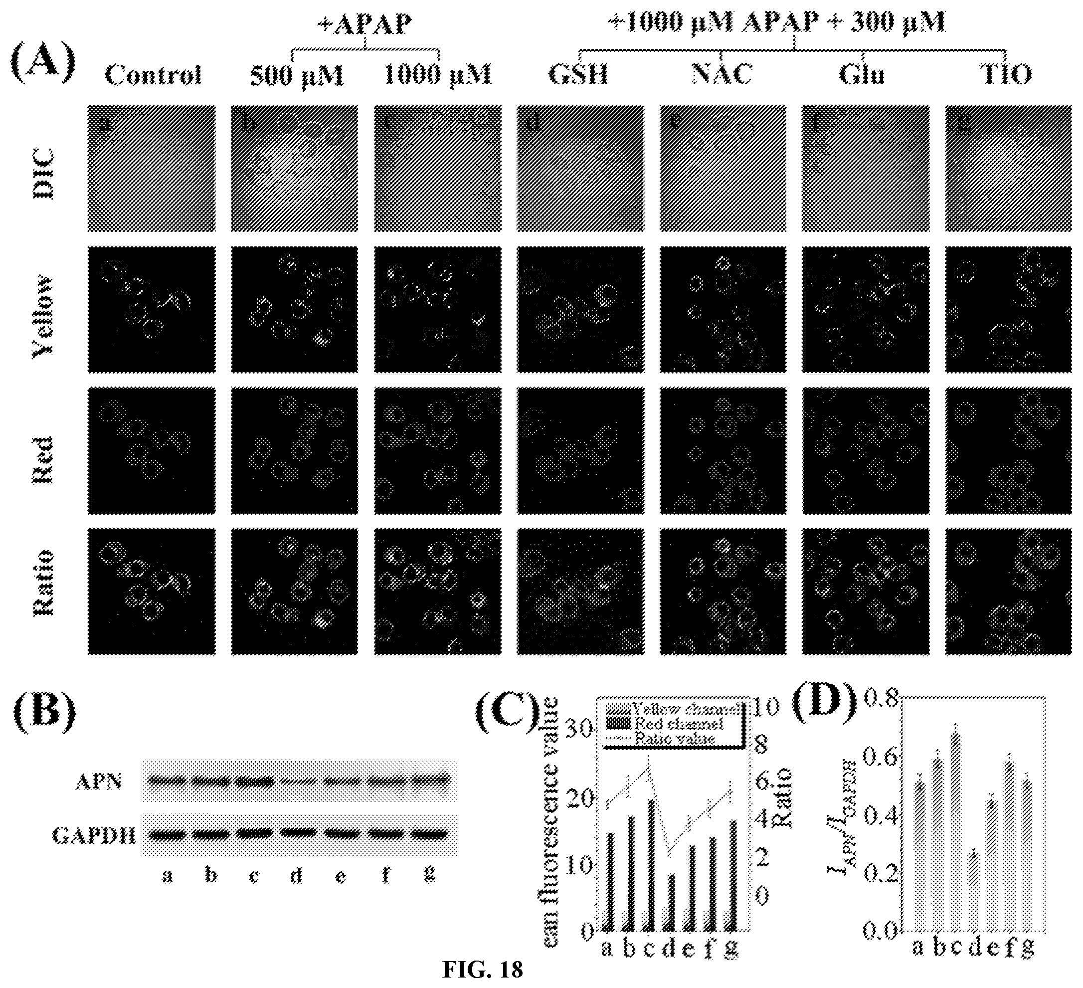 Patent US12480948 Figure 11 – Ratiometric fluorescent probe for detecting aminopeptidase N, and preparation method and use thereof