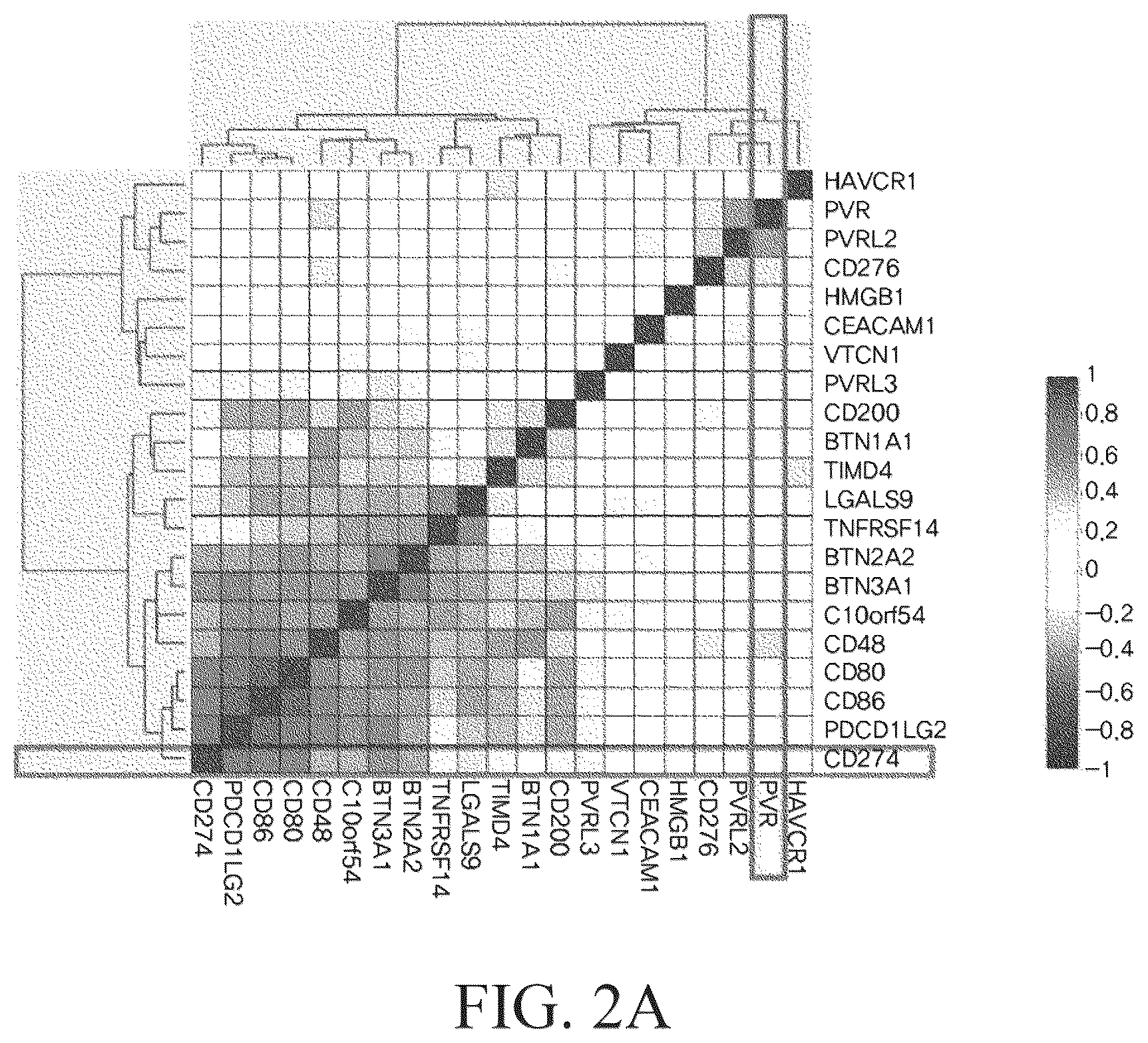 Patent US12480949 Figure 2 – Methods for treating non-small lung cancer and for preparing a sample
