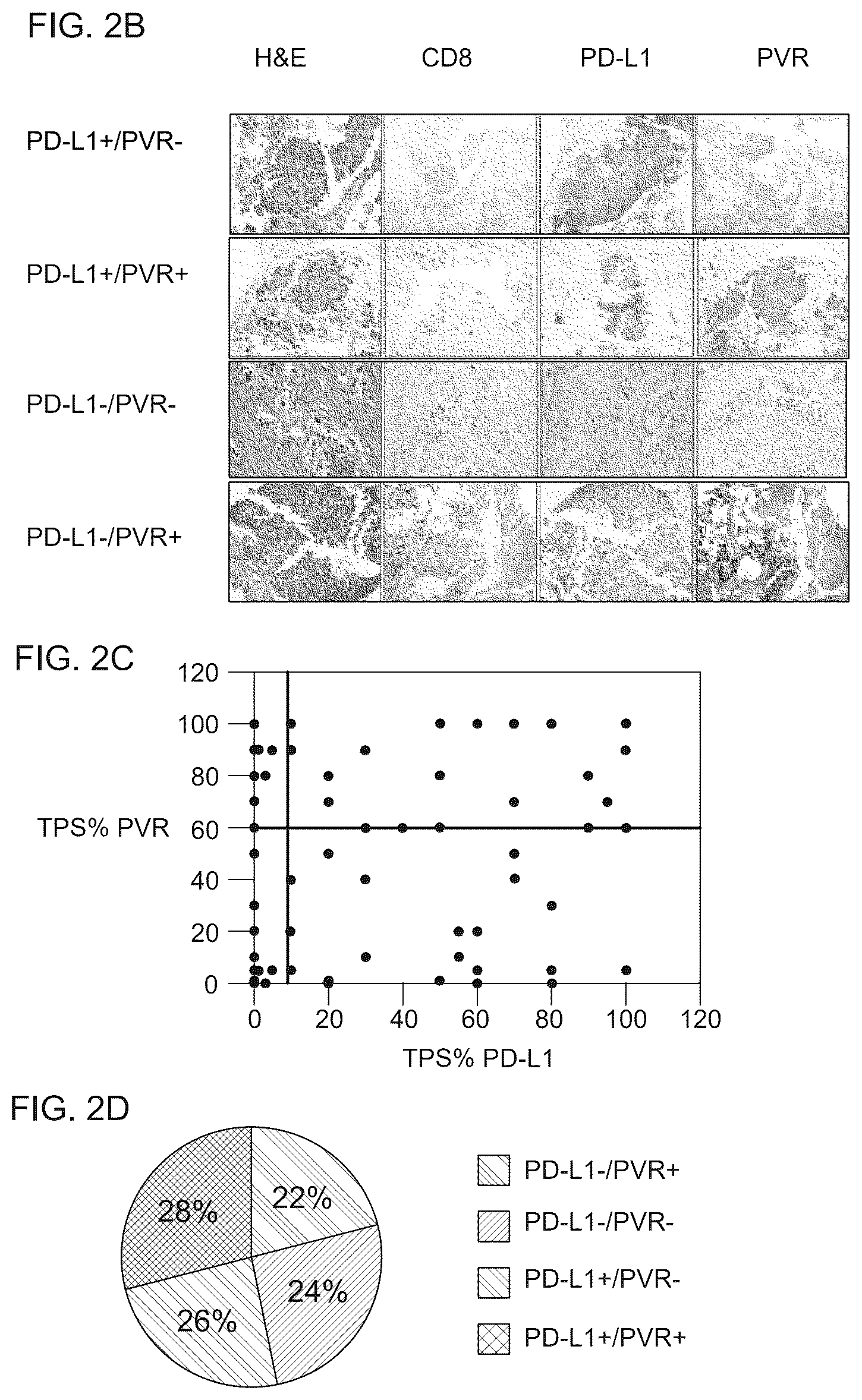 Patent US12480949 Figure 3 – Methods for treating non-small lung cancer and for preparing a sample
