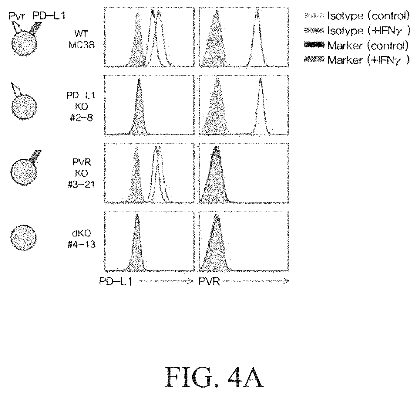 Patent US12480949 Figure 7 – Methods for treating non-small lung cancer and for preparing a sample