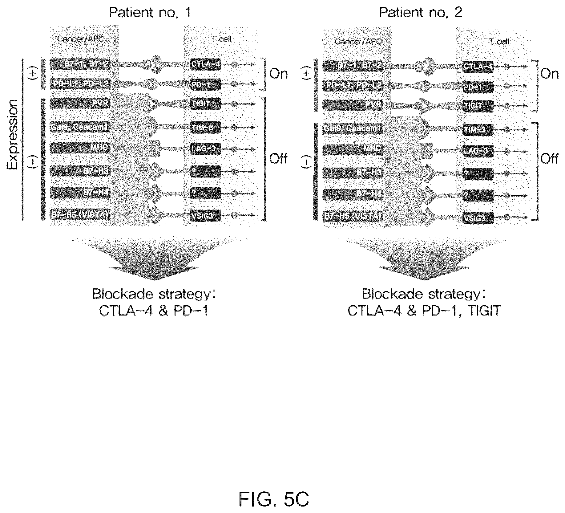 Patent US12480949 Figure 12 – Methods for treating non-small lung cancer and for preparing a sample