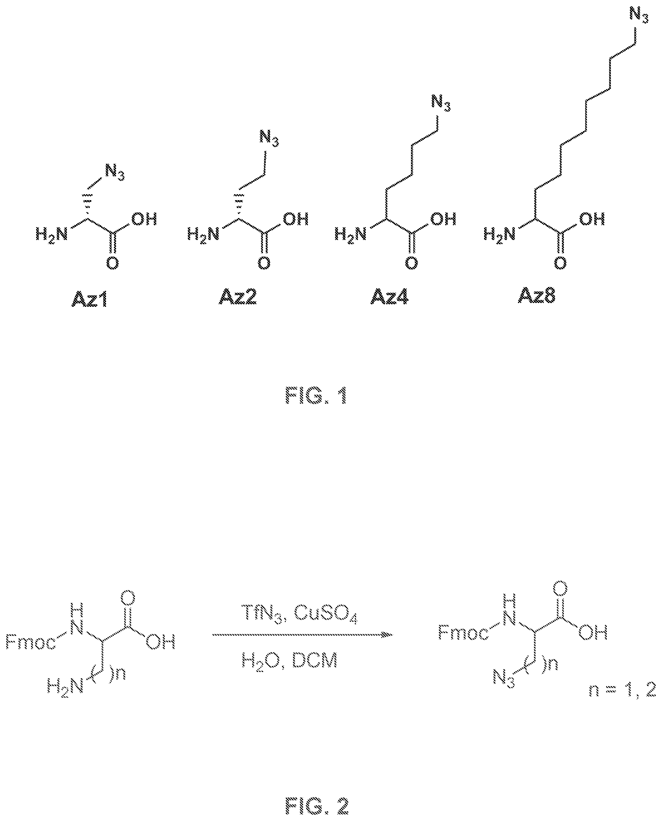Patent US12480950 Figure 1 – AKT-specific capture agents, compositions, and methods of using and making