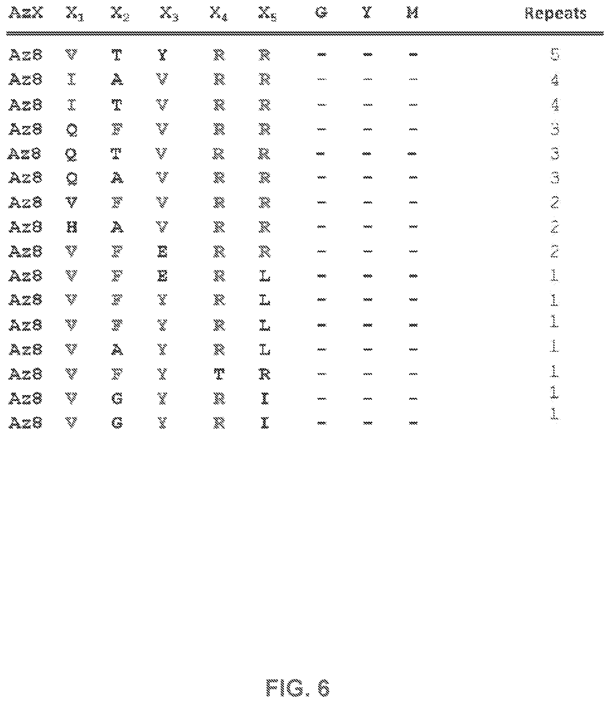 Patent US12480950 Figure 5 – AKT-specific capture agents, compositions, and methods of using and making