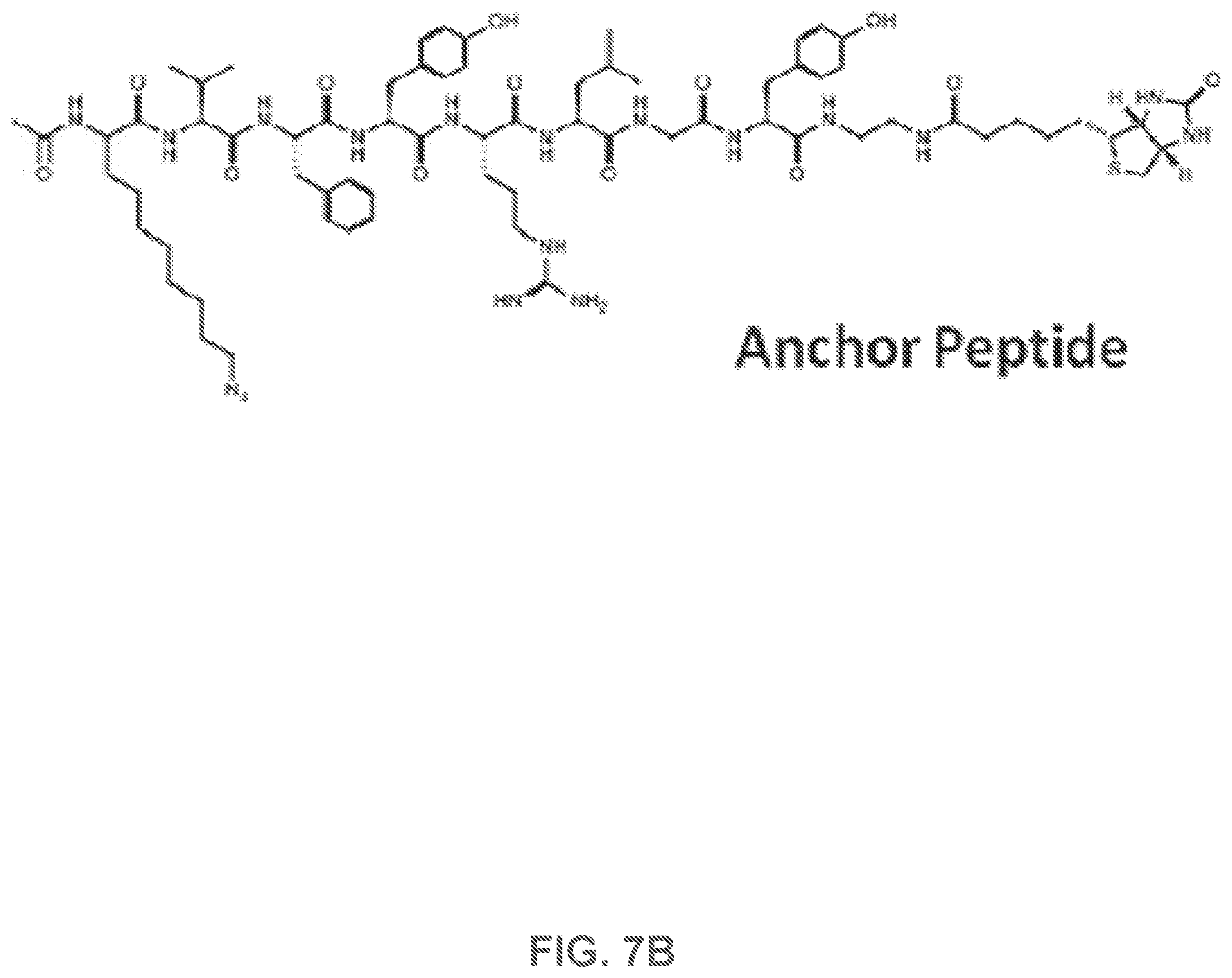 Patent US12480950 Figure 7 – AKT-specific capture agents, compositions, and methods of using and making