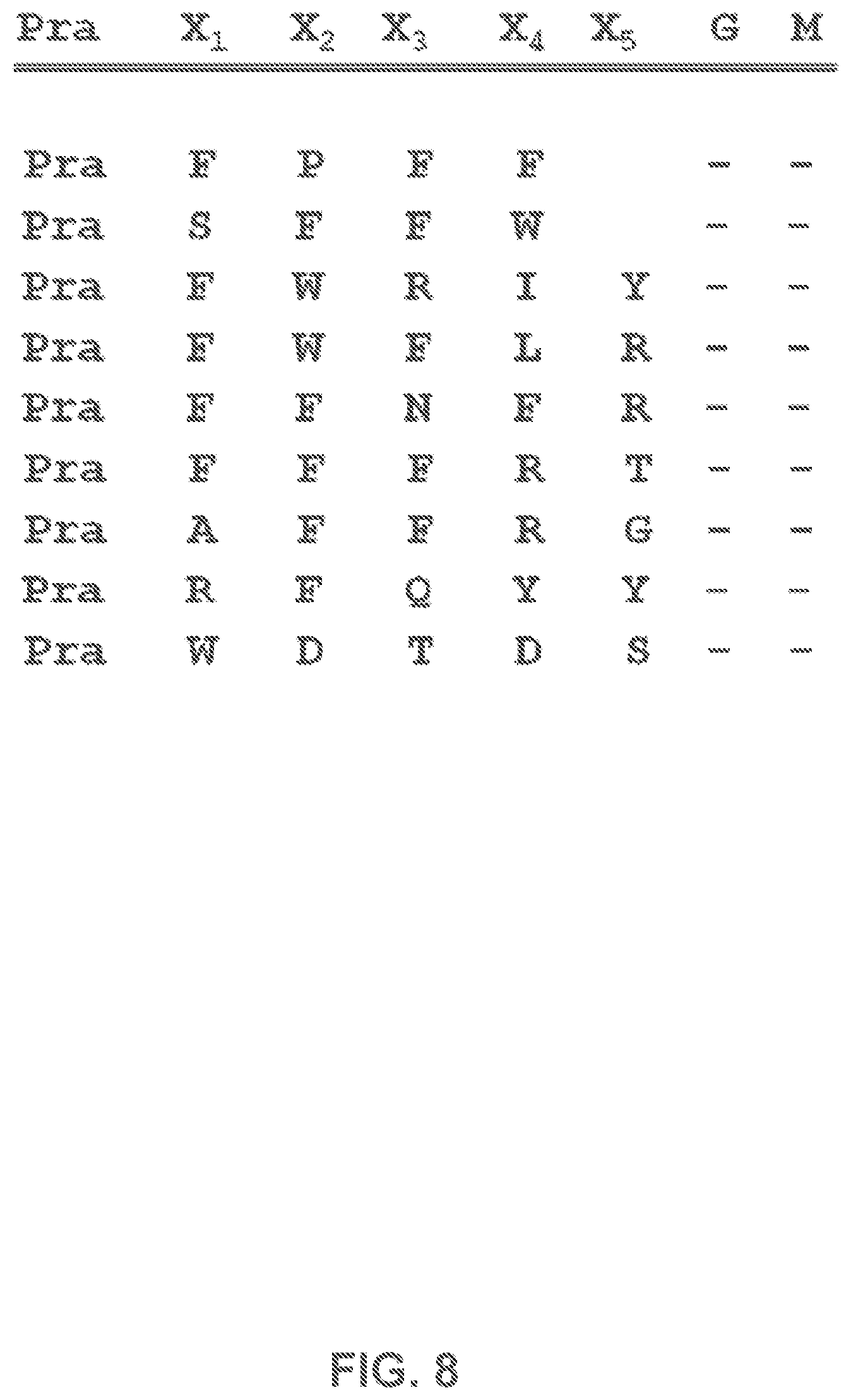 Patent US12480950 Figure 8 – AKT-specific capture agents, compositions, and methods of using and making