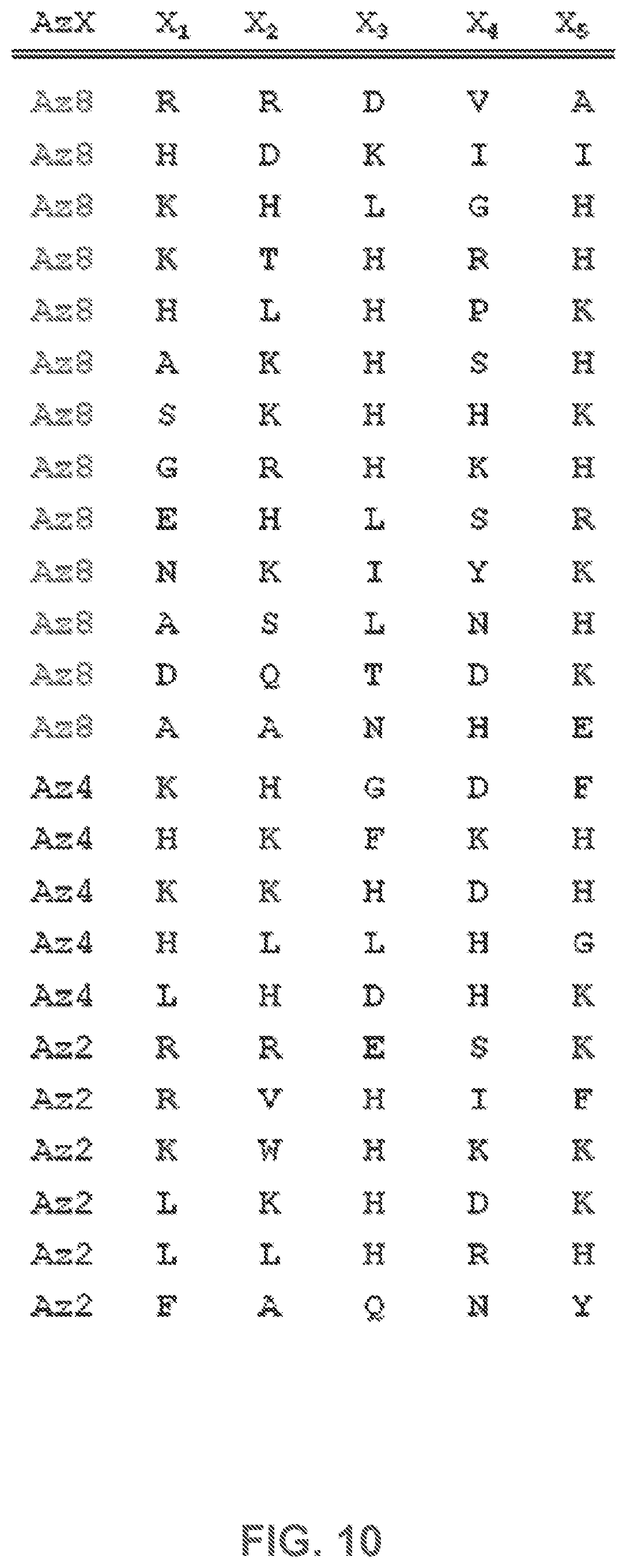 Patent US12480950 Figure 10 – AKT-specific capture agents, compositions, and methods of using and making