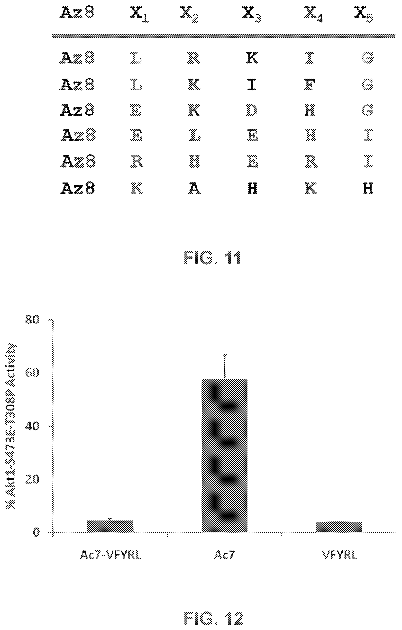 Patent US12480950 Figure 11 – AKT-specific capture agents, compositions, and methods of using and making