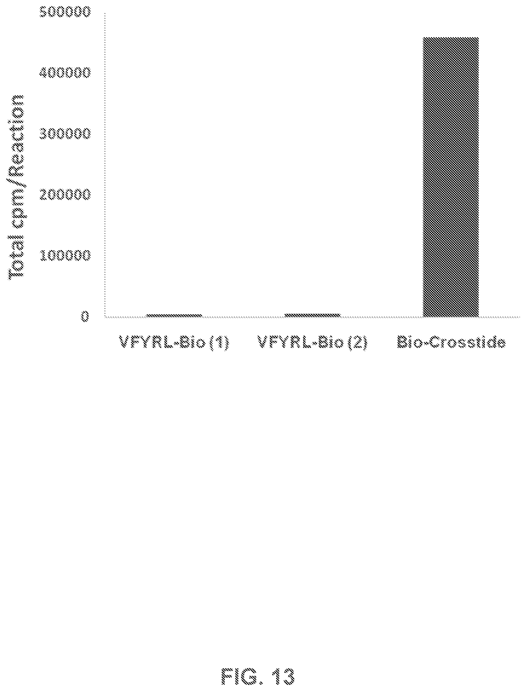 Patent US12480950 Figure 12 – AKT-specific capture agents, compositions, and methods of using and making