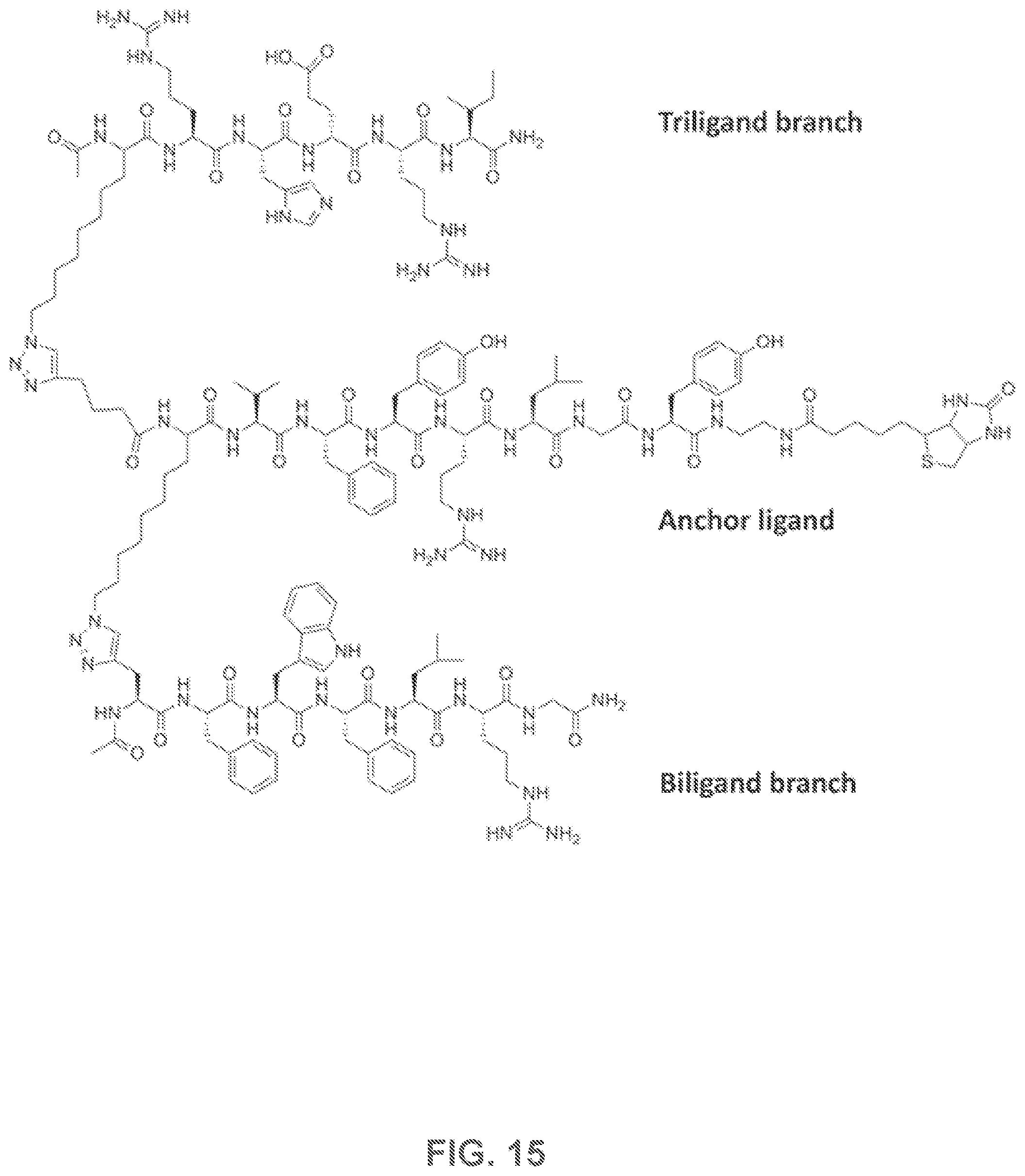 Patent US12480950 Figure 14 – AKT-specific capture agents, compositions, and methods of using and making