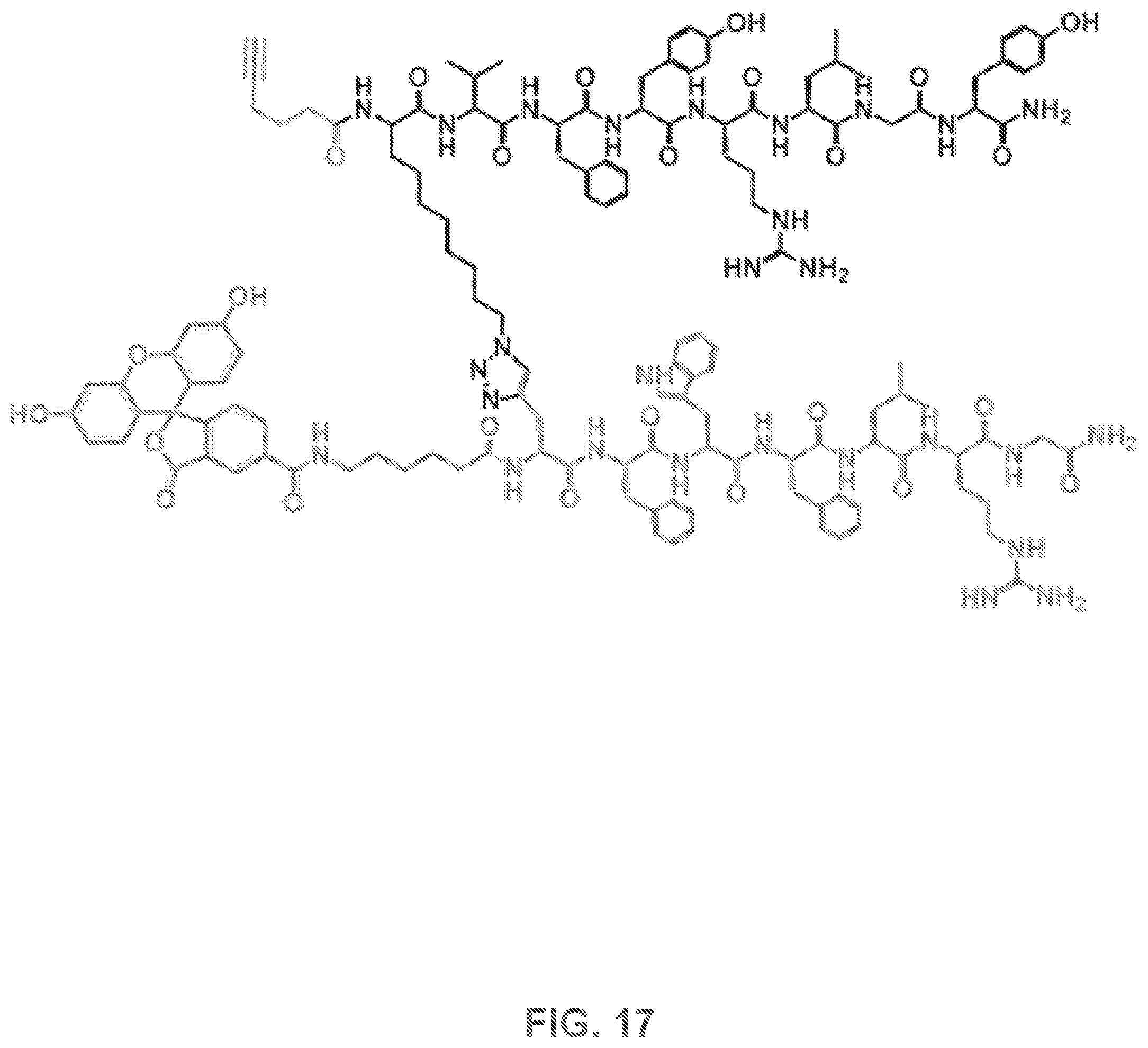 Patent US12480950 Figure 17 – AKT-specific capture agents, compositions, and methods of using and making