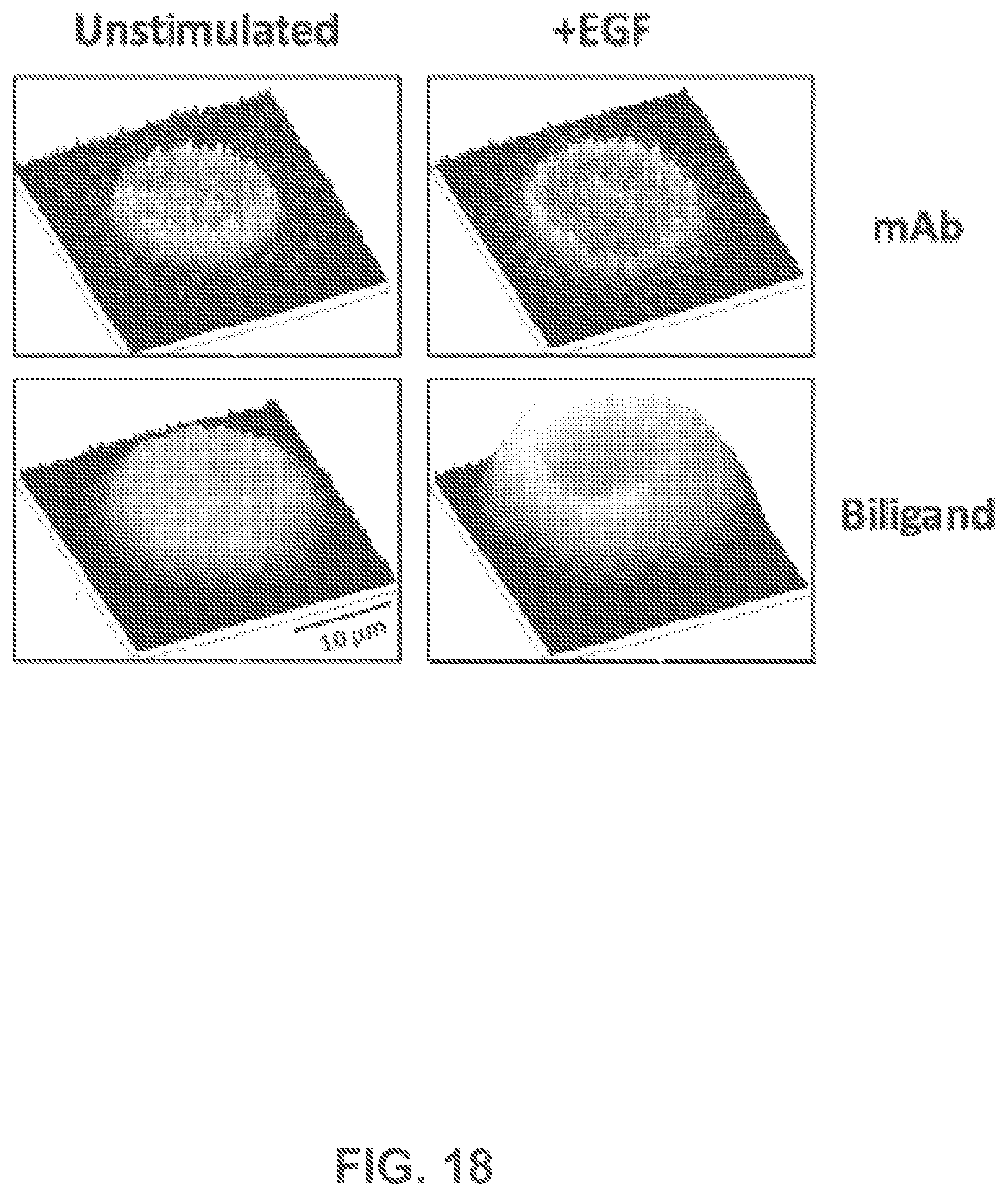 Patent US12480950 Figure 18 – AKT-specific capture agents, compositions, and methods of using and making