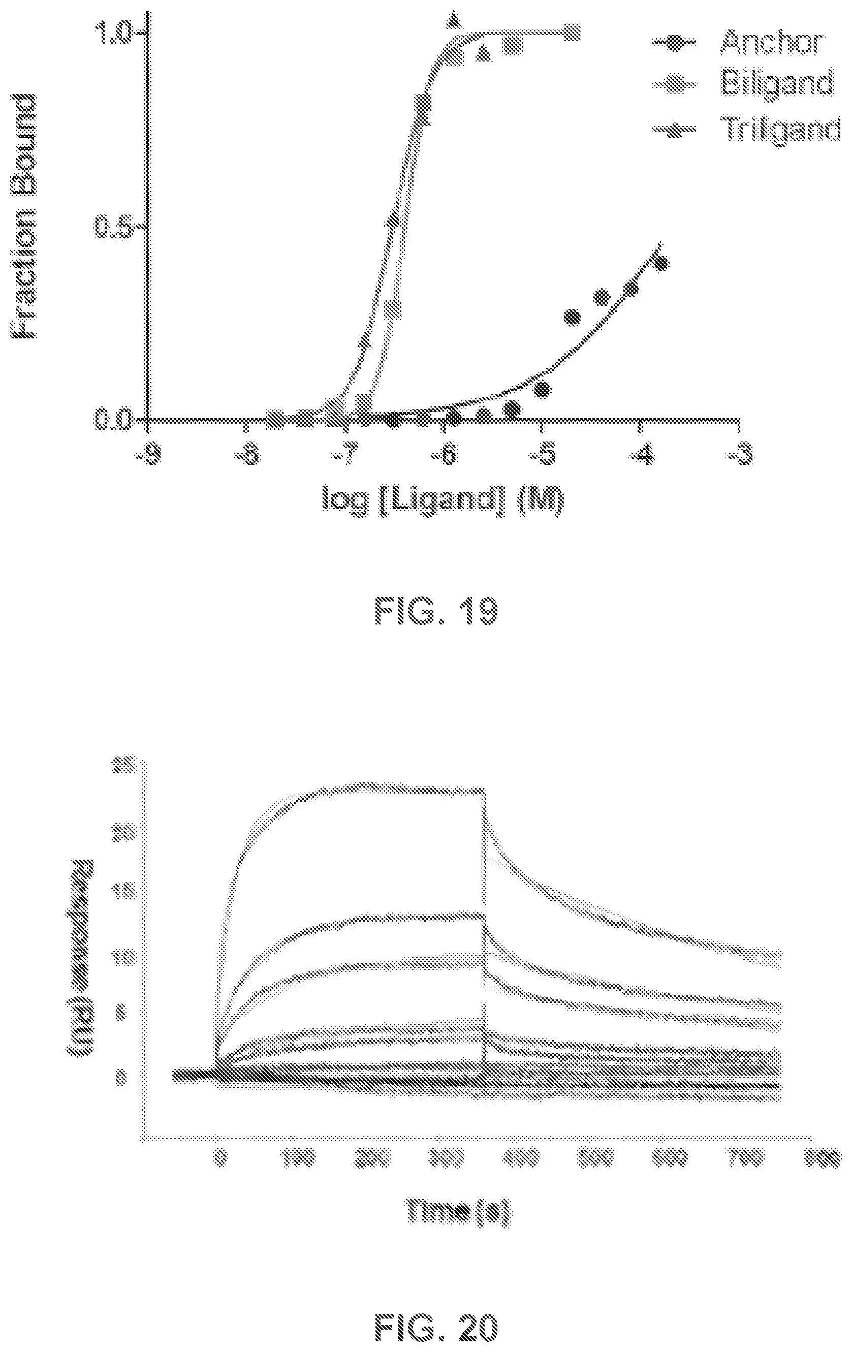 Patent US12480950 Figure 19 – AKT-specific capture agents, compositions, and methods of using and making